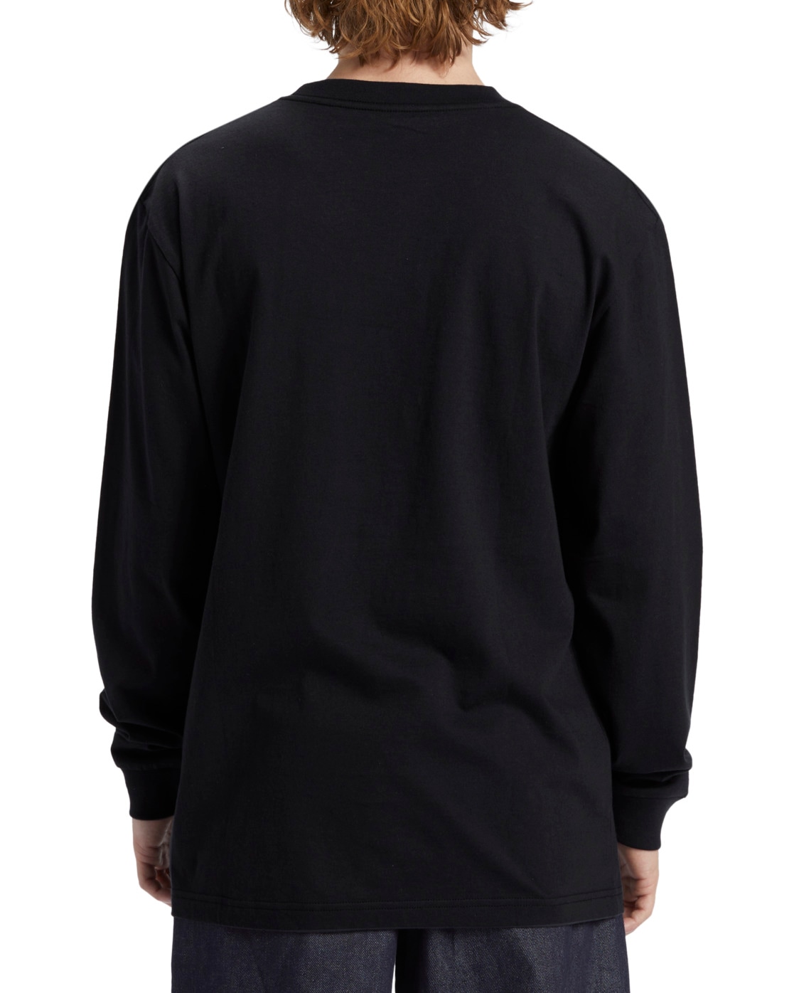 DC Shoes Langarmshirt »DC Star Hls«