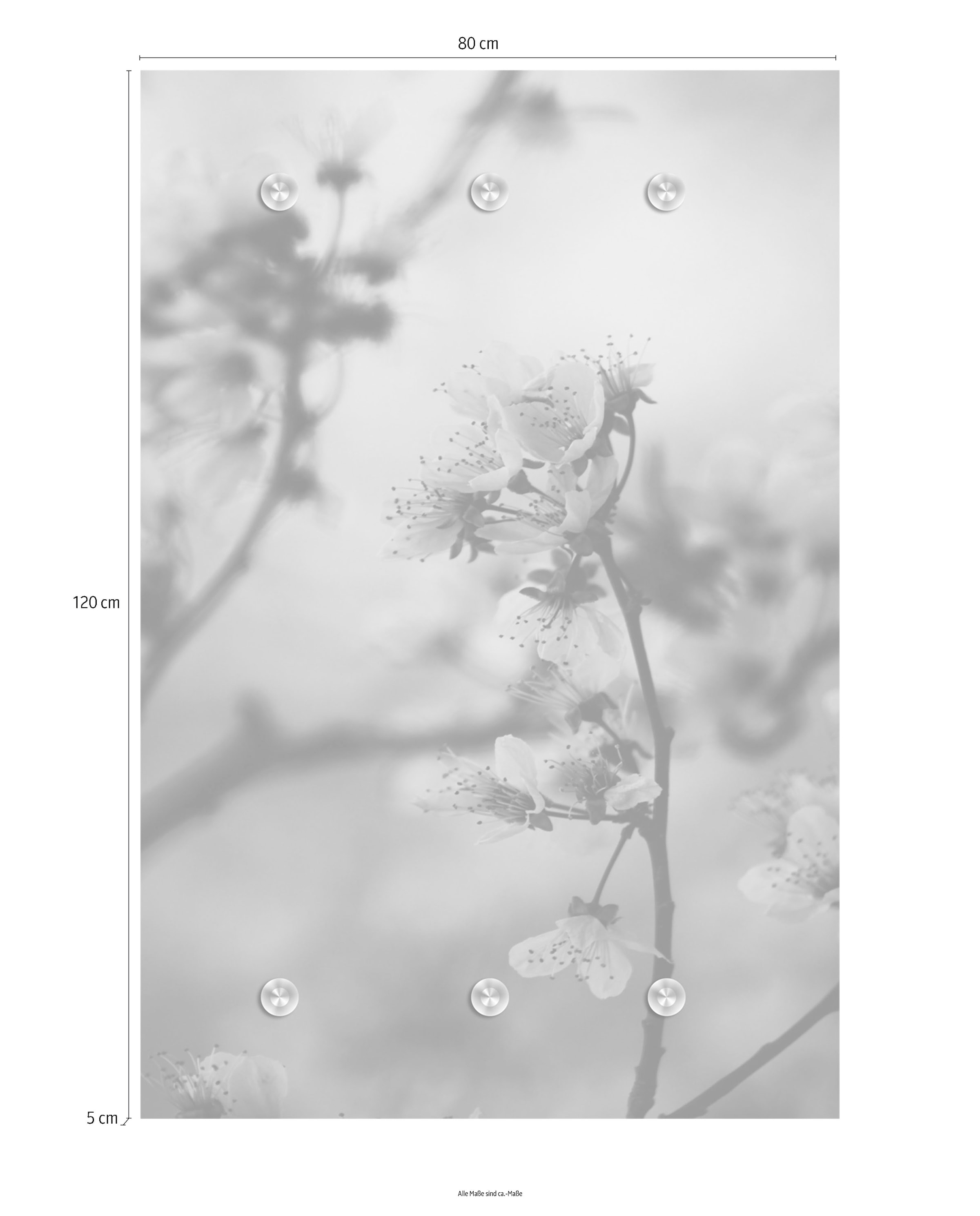 queence Garderobenleiste »Blumen«, mit 6 Haken, 80 x 120 cm