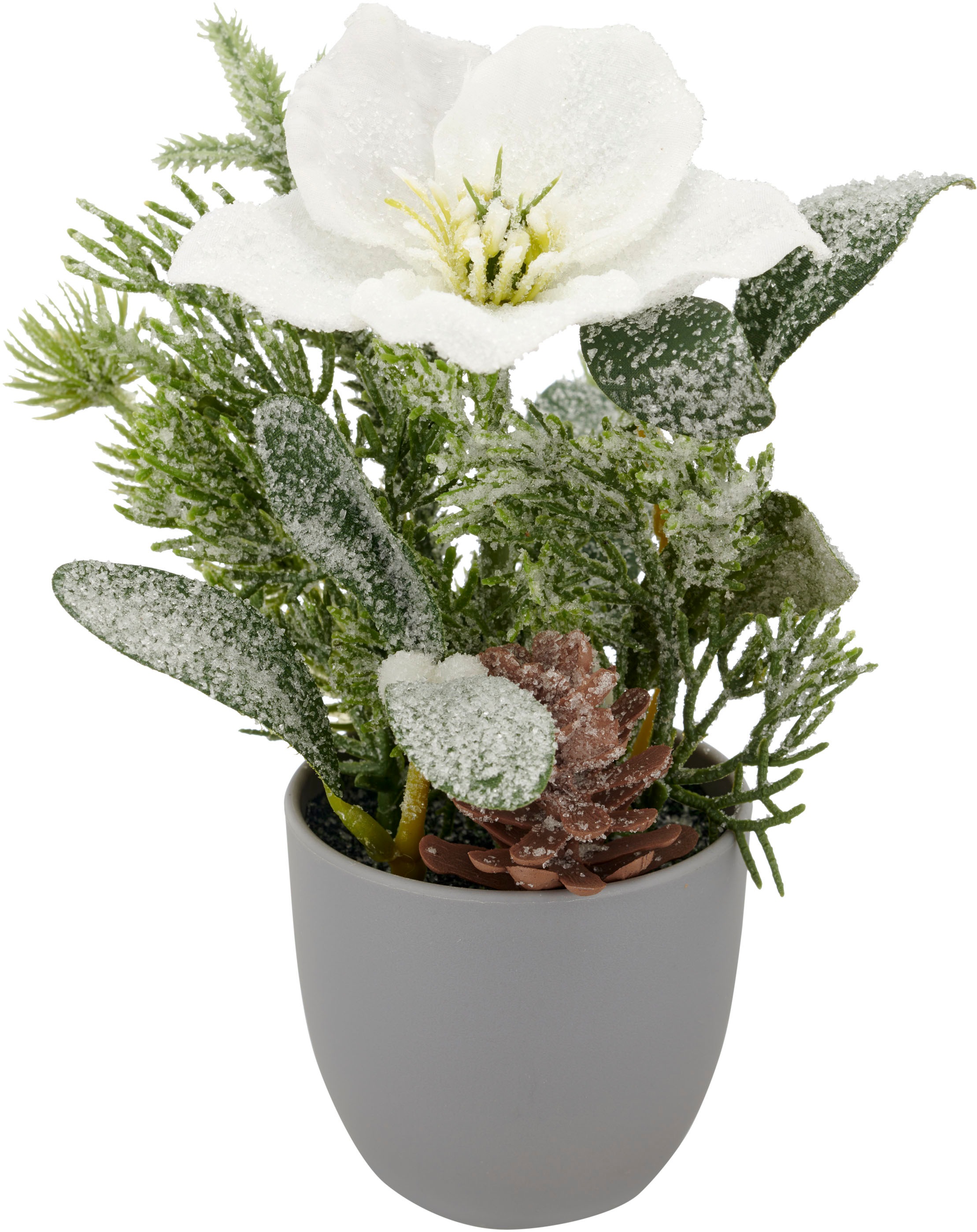 Creativ green Winterliche Kunstpflanze "Arrangement mit Christrose" mit üpp günstig online kaufen