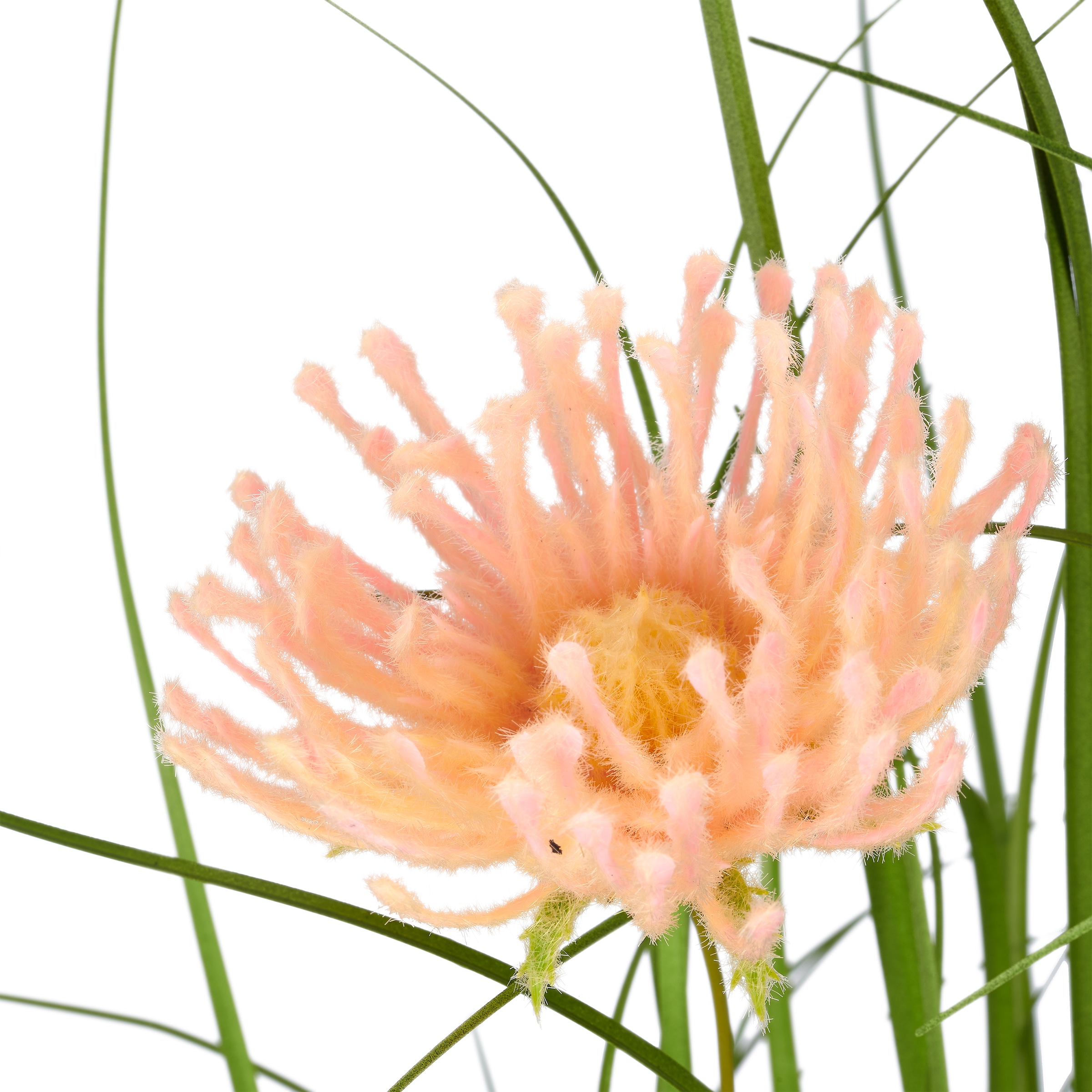 Creativ green Kunstgras »Grasbusch Distel« mit dekorativen Blüten