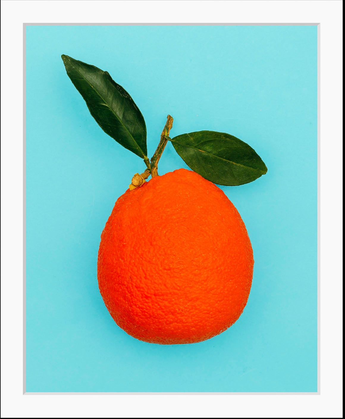 queence Bild »Sean«, Obst-Obst Bilder-Lebensmittel-Essen-Kunst-Figuren, (1 St.), HD Premium Poster-Druck inkl. Holzrahmen