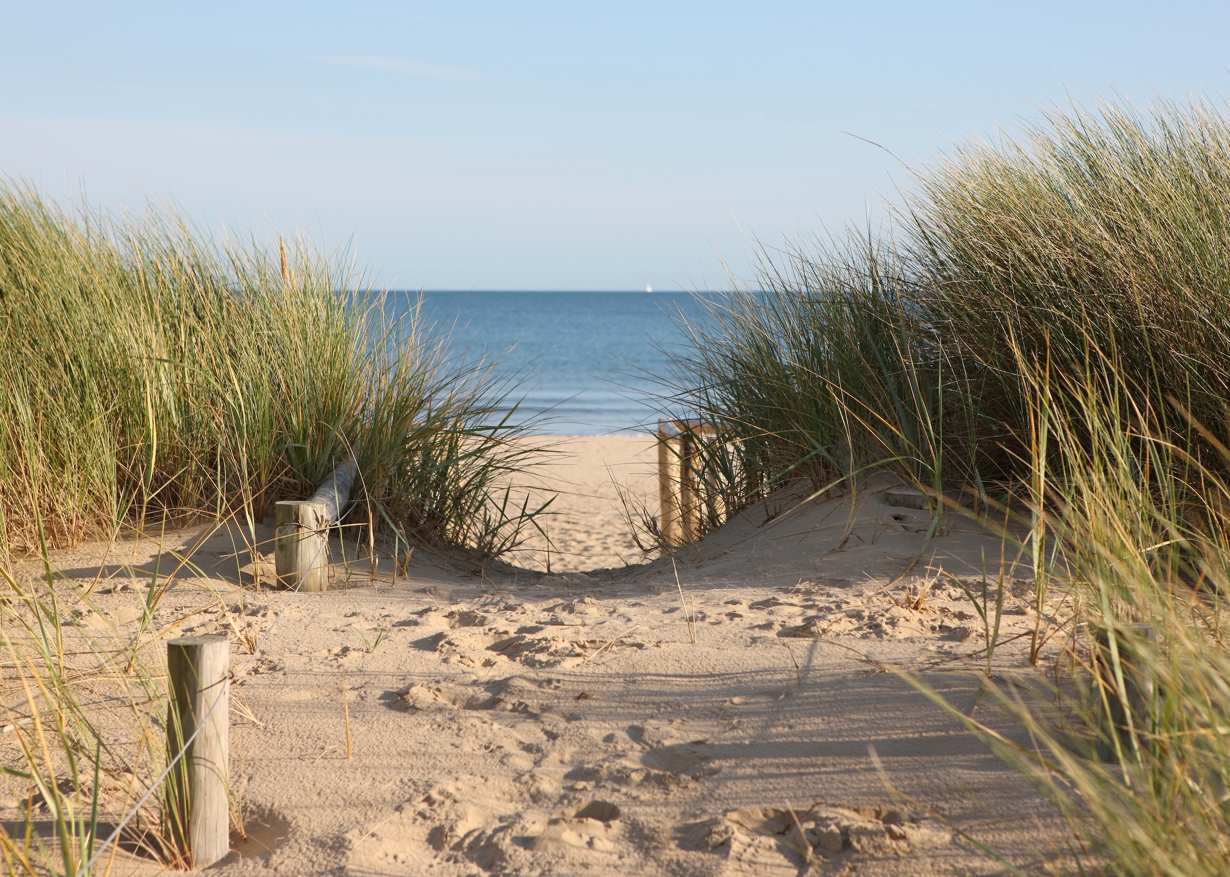 Papermoon Fototapetas »Dunes in Dorset«