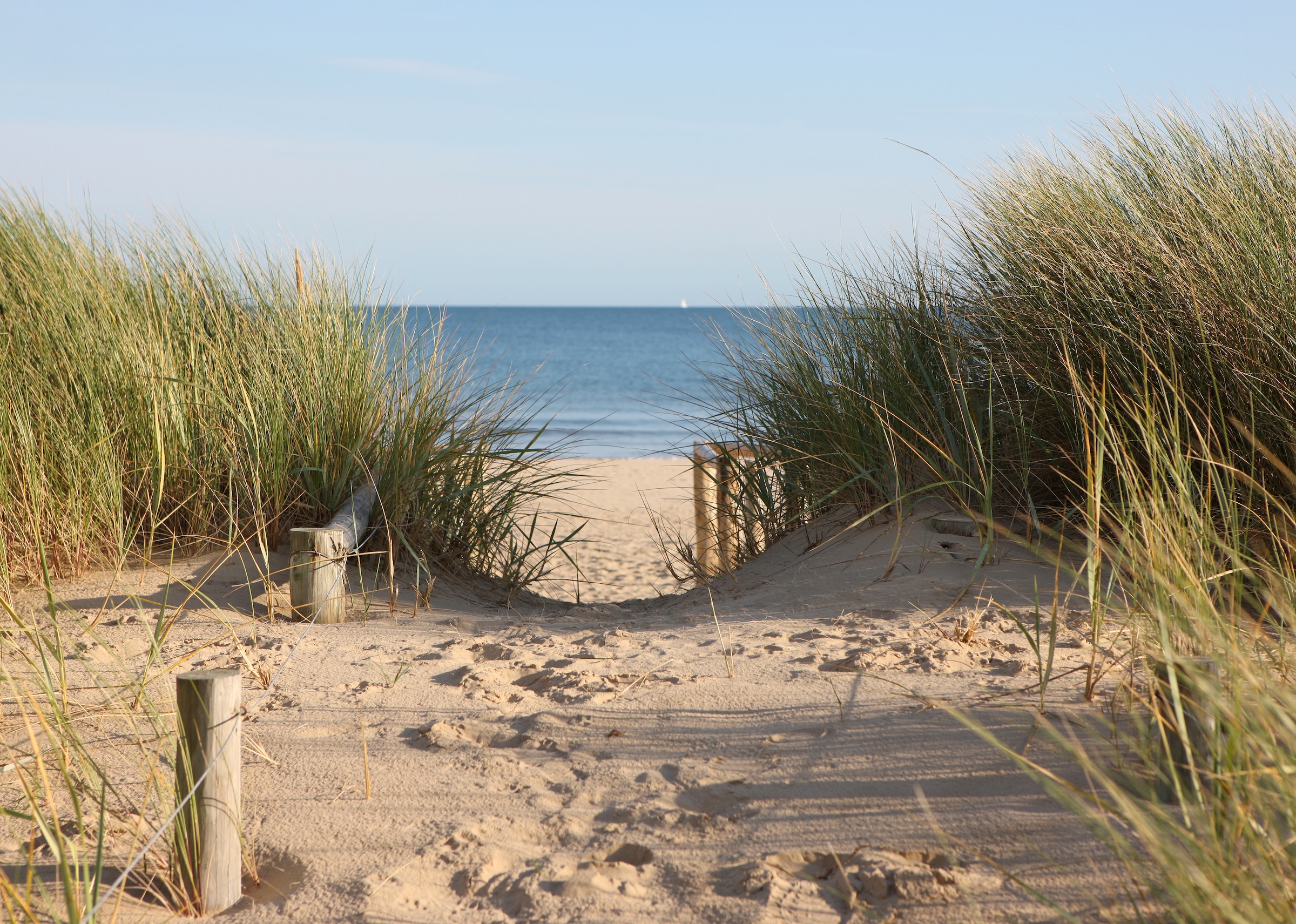 Papermoon Fototapete "Dunes in Dorset" glatt