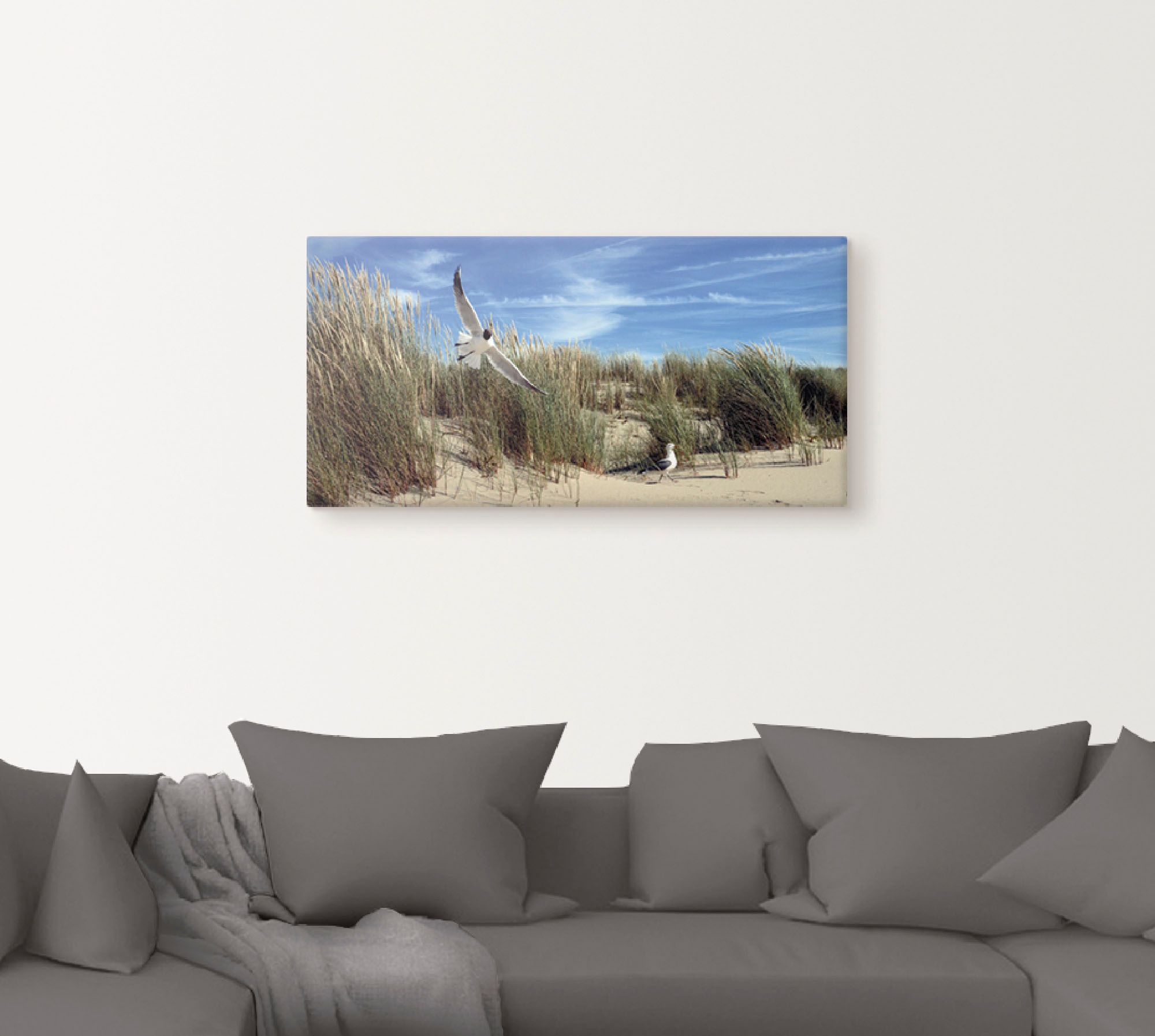 Artland Leinwandbild "Möwe und Seeschwalbe in Dünenlandschaft" Vögel 1 Stk. günstig online kaufen