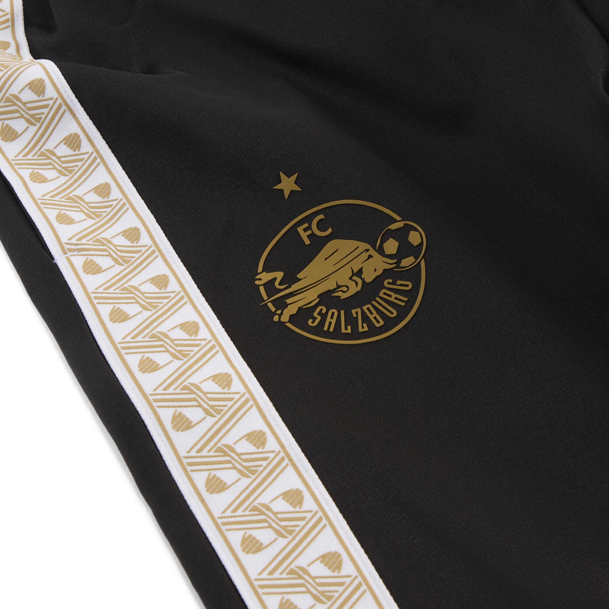 PUMA Sporthose »FC Red Bull Salzburg KING Anthem Hose Erwachsene«