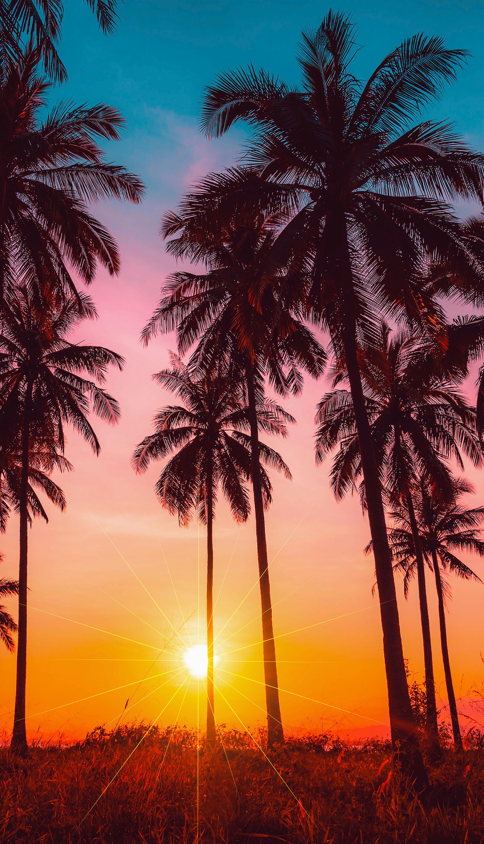 good morning Strandtuch "Bora Bora" Mikrofaser, 100x180, Schnelltrocknend, günstig online kaufen