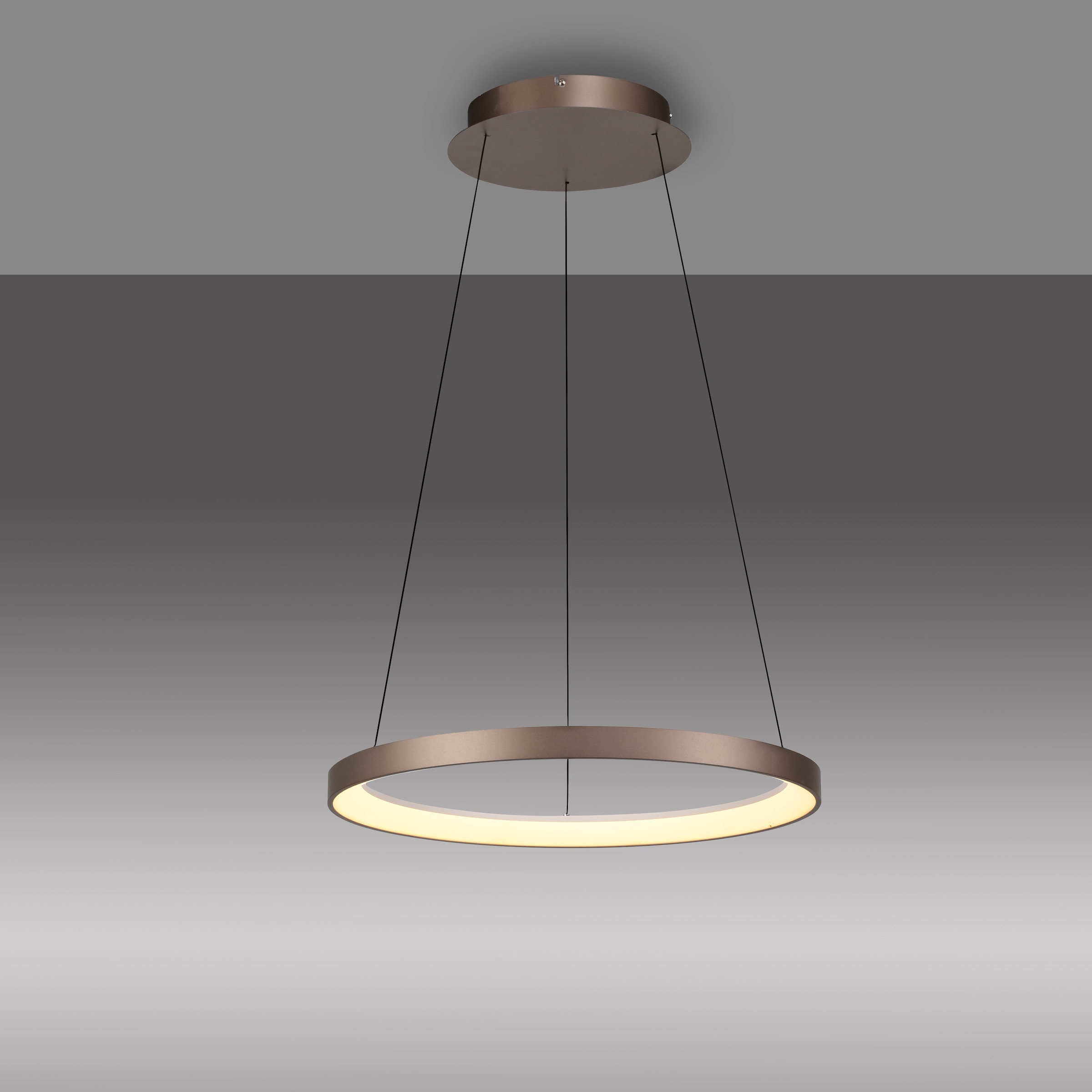 Paul Neuhaus Pendelleuchte »HOOP«, 1 flammig, Leuchtmittel LED-Board | LED fest integriert, LED, dimmbar, Simply Dim, Memory, nach Trennung vom Netz, Comfort Lift