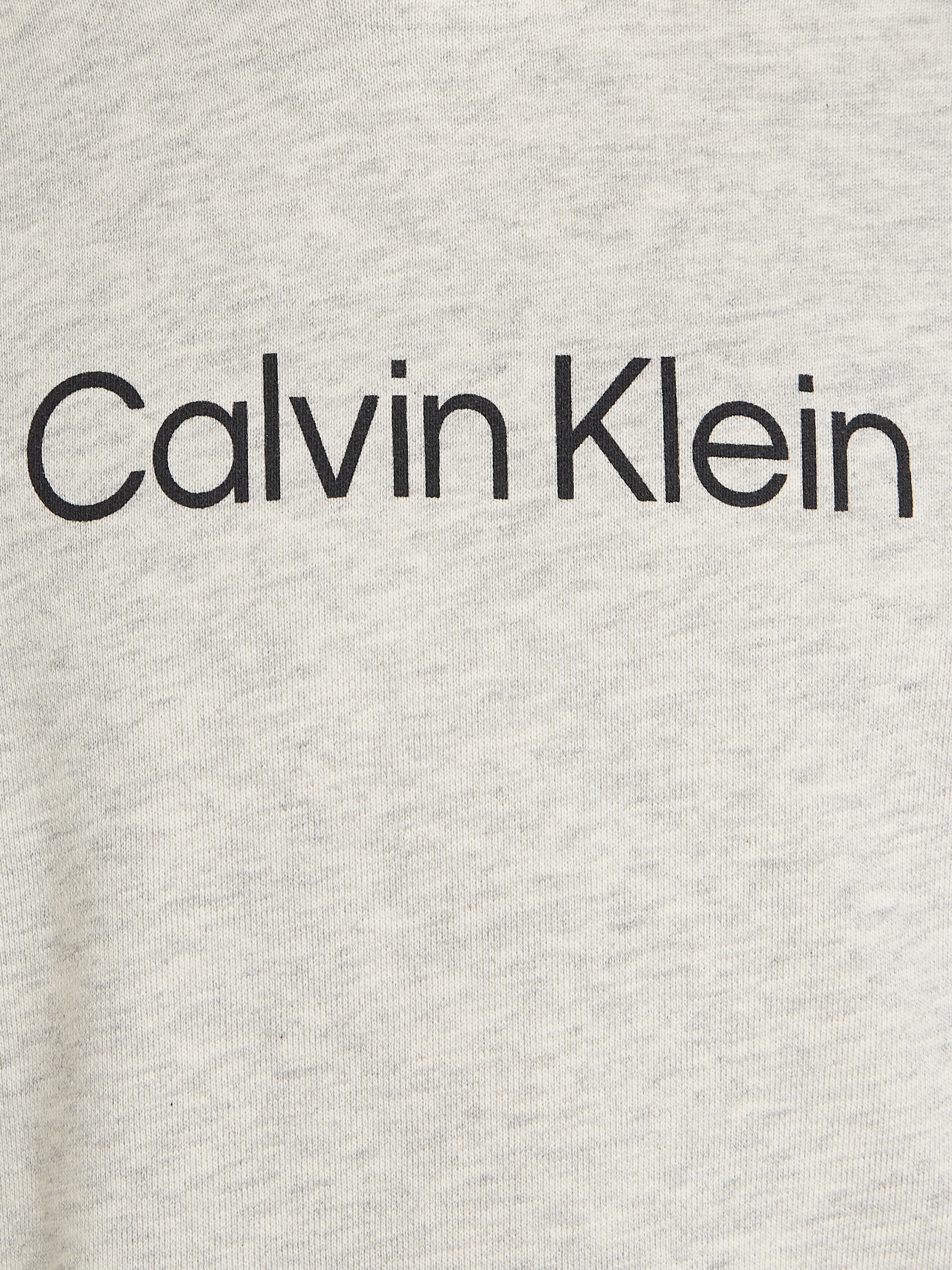 Calvin Klein Jeans Kapuzensweatshirt »Inst. Logo Reg. Terry Hoodie«, für Kinder bis 16 Jahre und mit Logoschriftzug