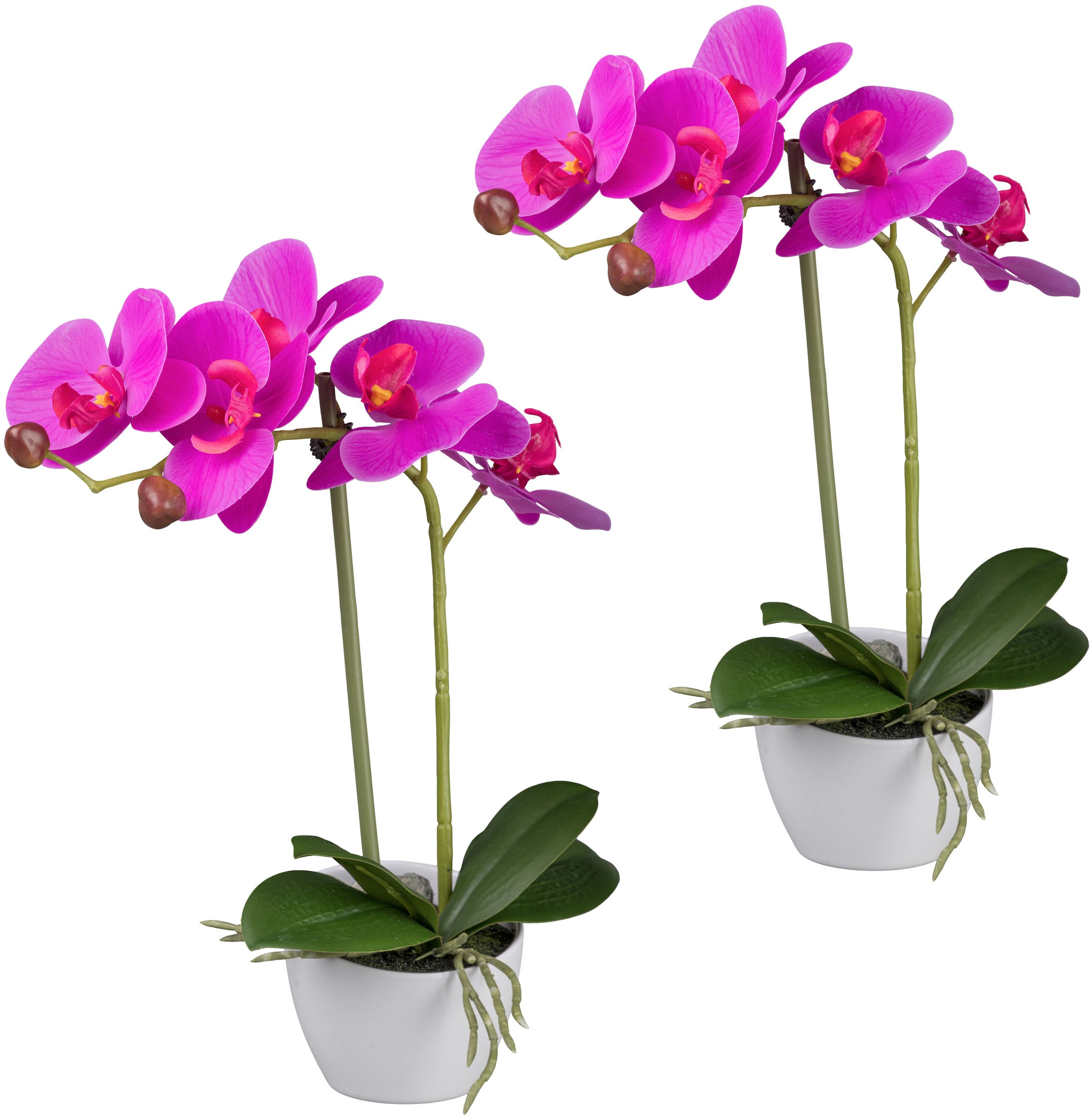 Creativ green Kunstorchidee "Orchidee Phalaenopsis", im weißen Design-Topf