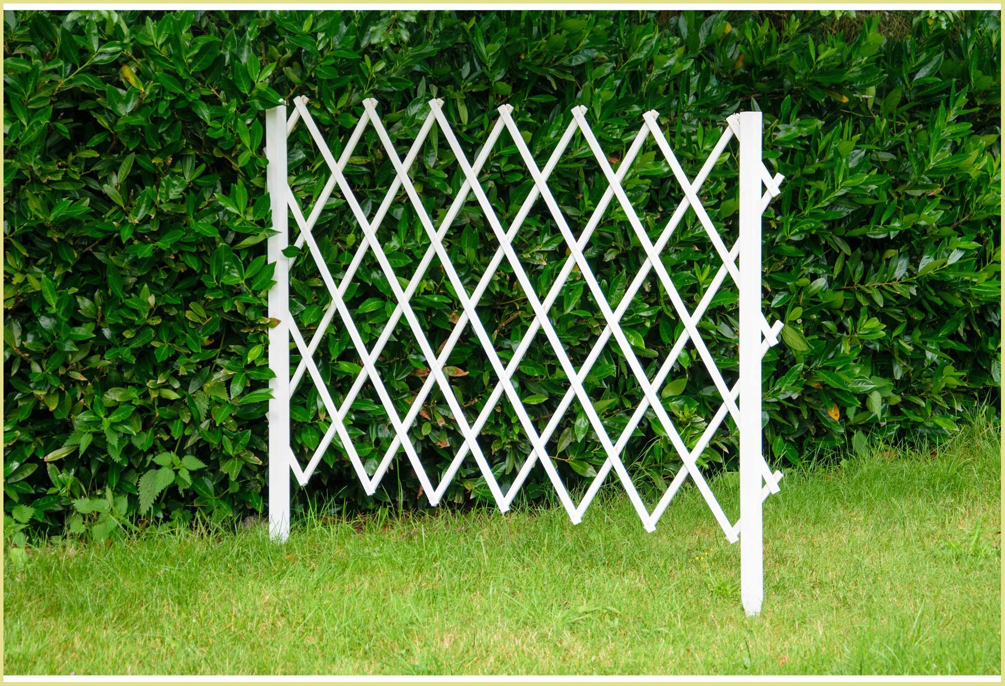 dobar Rankgitter »Gr. L«, faltbar, BxTxH: 160x35x120 cm