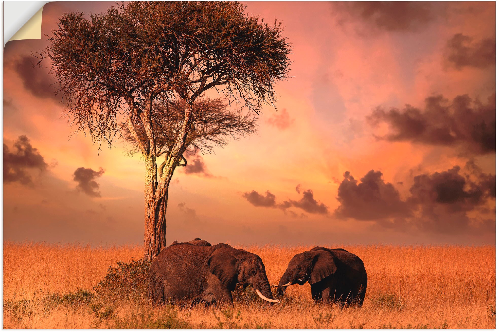 Artland Wandbild »Elefanten zum Abendessen«, Wildtiere, (1 St.), als Alubild,  Leinwandbild, Wandaufkleber oder Poster in versch. Größen bestellen | BAUR
