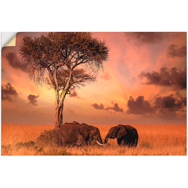 Artland Wandbild »Elefanten zum Abendessen«, Wildtiere, (1 St.), als Alubild,  Leinwandbild, Wandaufkleber oder Poster in versch. Größen bestellen | BAUR
