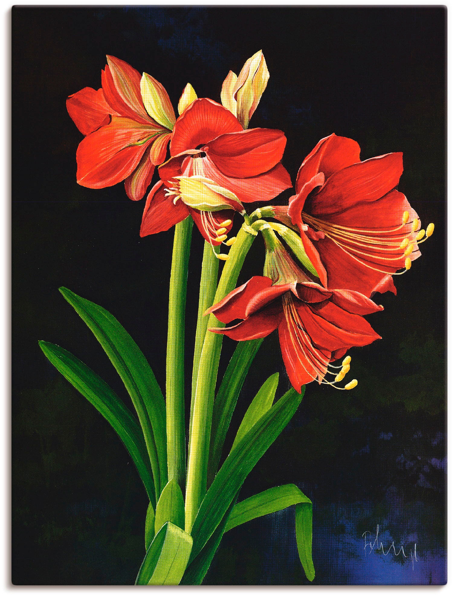 Artland Wandfolie »Amaryllis«, Blumen, (1 St.), selbstklebend