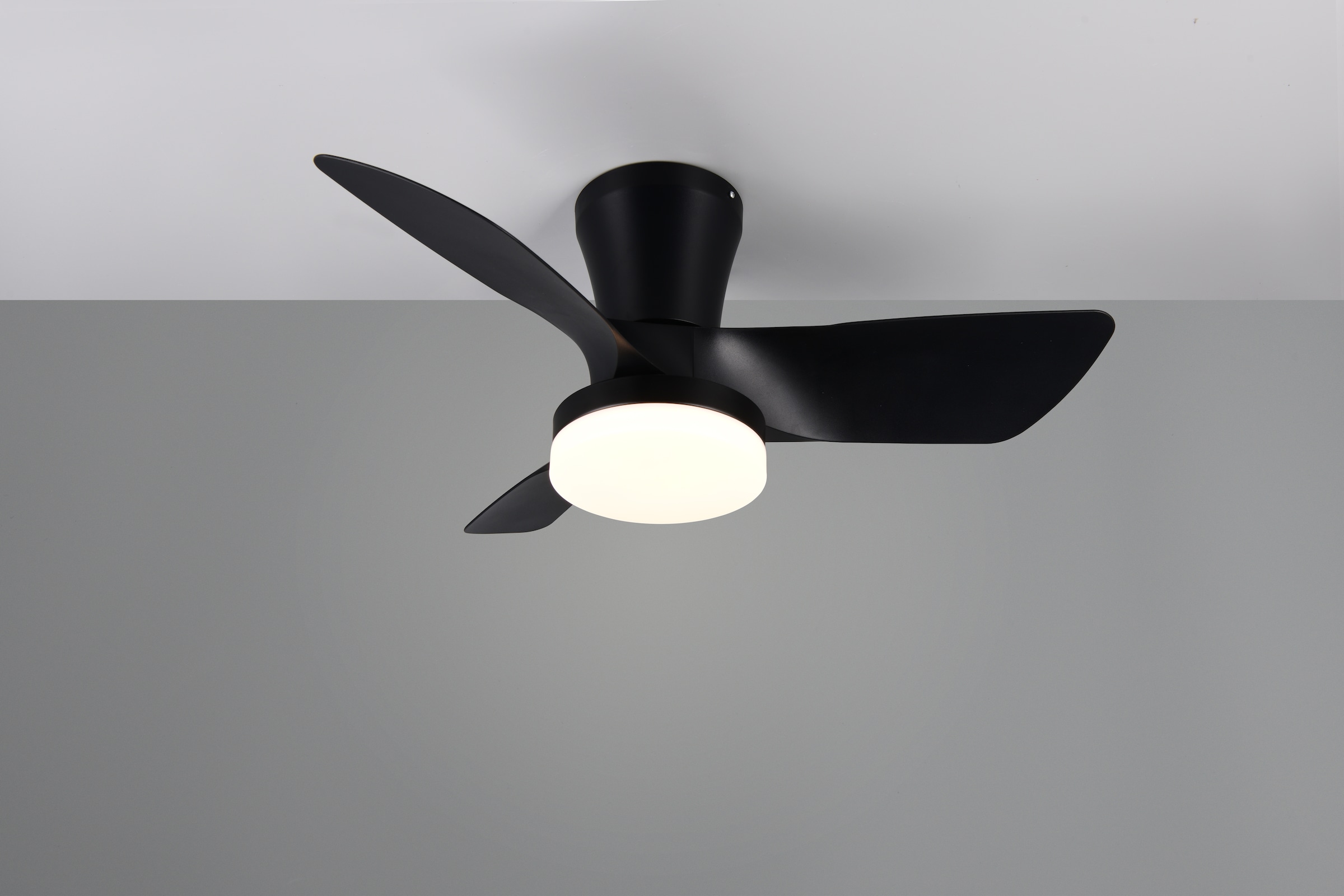 REALITY Leuchten LED Deckenleuchte »RANDERS mit Ventilator, Deckenventilator mit Licht inkl Fernbedienung«, 1 flammig, Leuchtmittel LED-Board | LED fest integriert, 6 Geschwindigkeiten Timer Vor- & Rücklauf LED dimmbar CCT Nachtlicht