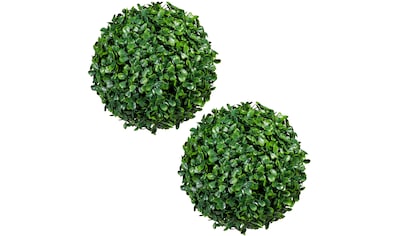 Creativ green Kunstpflanze »Buchsbaumkugel«, (2 St.) kaufen