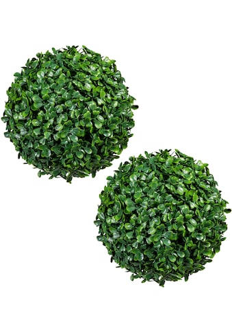 Creativ green Kunstpflanze »Buchsbaumkugel« 2-iejų v...