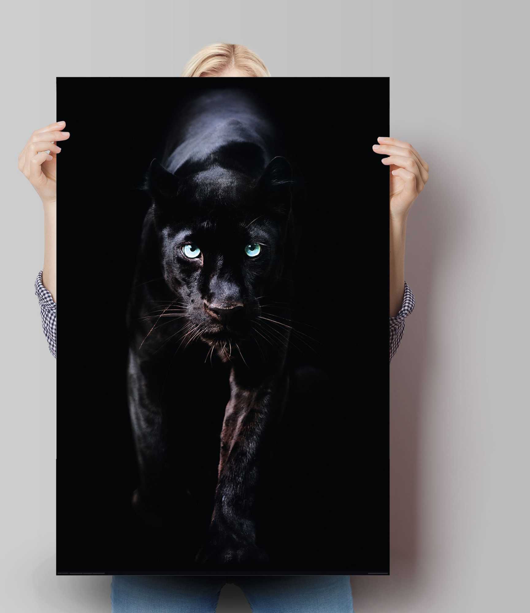 Reinders Poster "Poster Schwarzer Panther" Tiere 1 Stk. tlg. günstig online kaufen