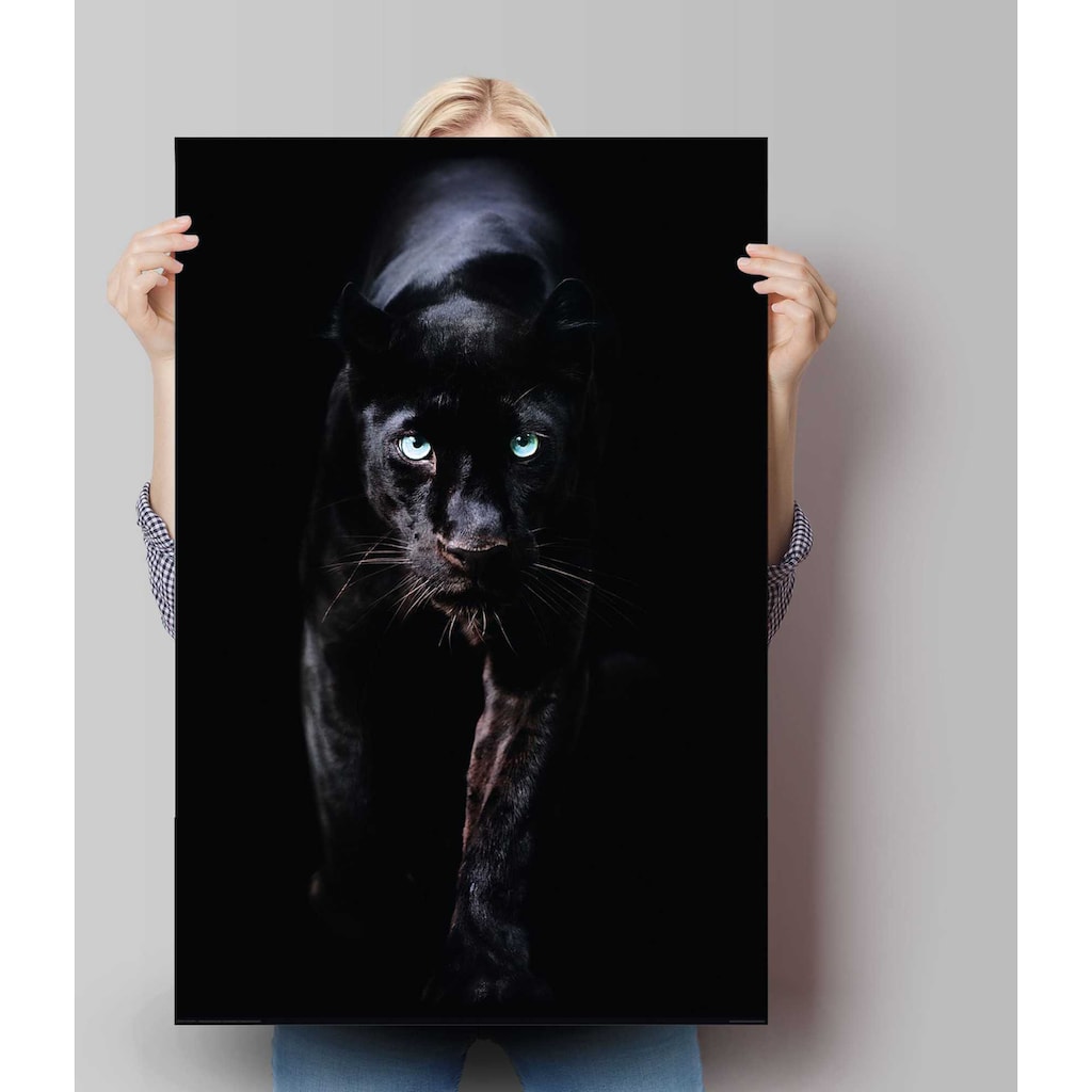 Reinders! Poster »Poster Schwarzer Panther«, Tiere, (1 St.)