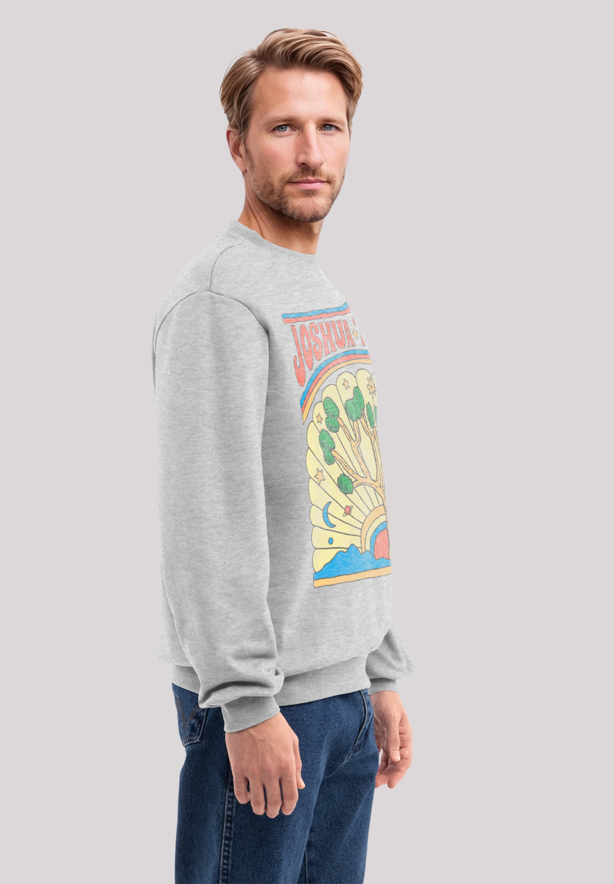 F4NT4STIC Sweatshirt »US National Parks Joshua Tree«, Premium Qualität