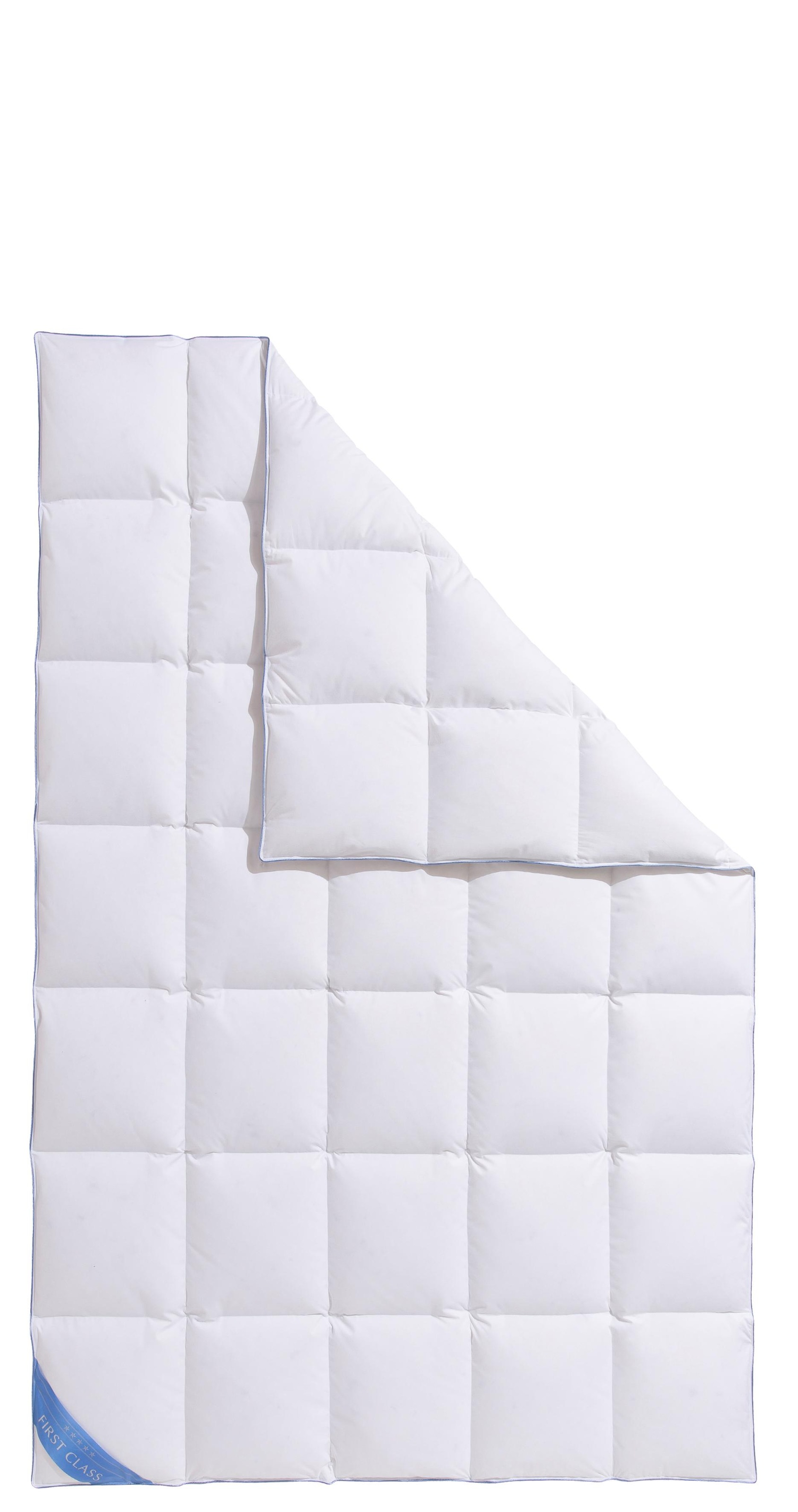 Hanse by RIBECO Daunenbettdecke "Lina" extrawarm Füllung 90% Daunen & 10% F günstig online kaufen