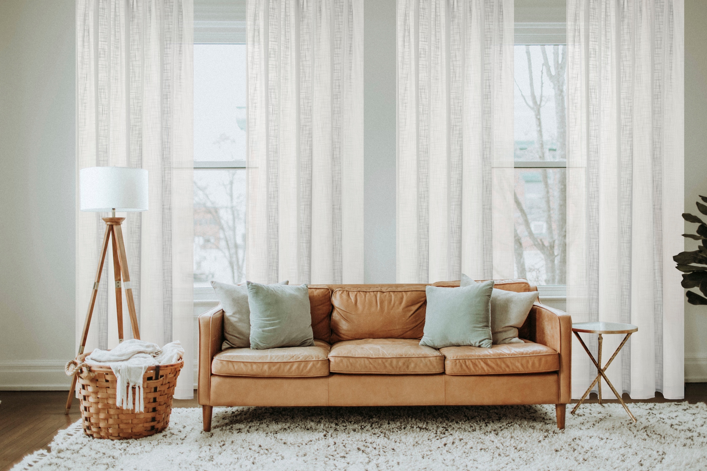 Home Basics Vorhang "SOFTY" Ösen 1 Stk. tlg. Ösenschal SOFTY Uni günstig online kaufen