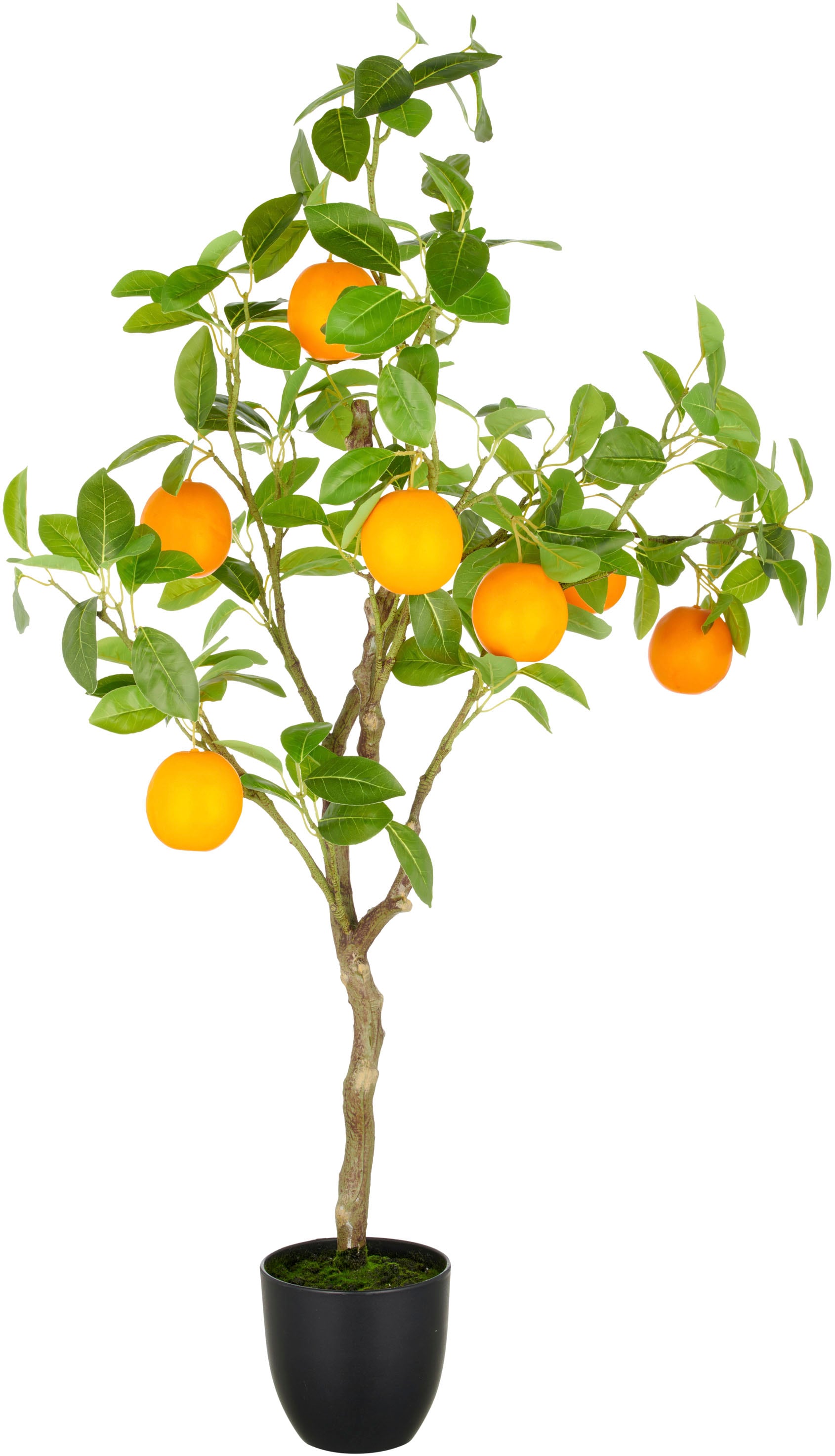 Creativ green Kunstbaum "Orange", mit detailgetreuer Gestaltung günstig online kaufen