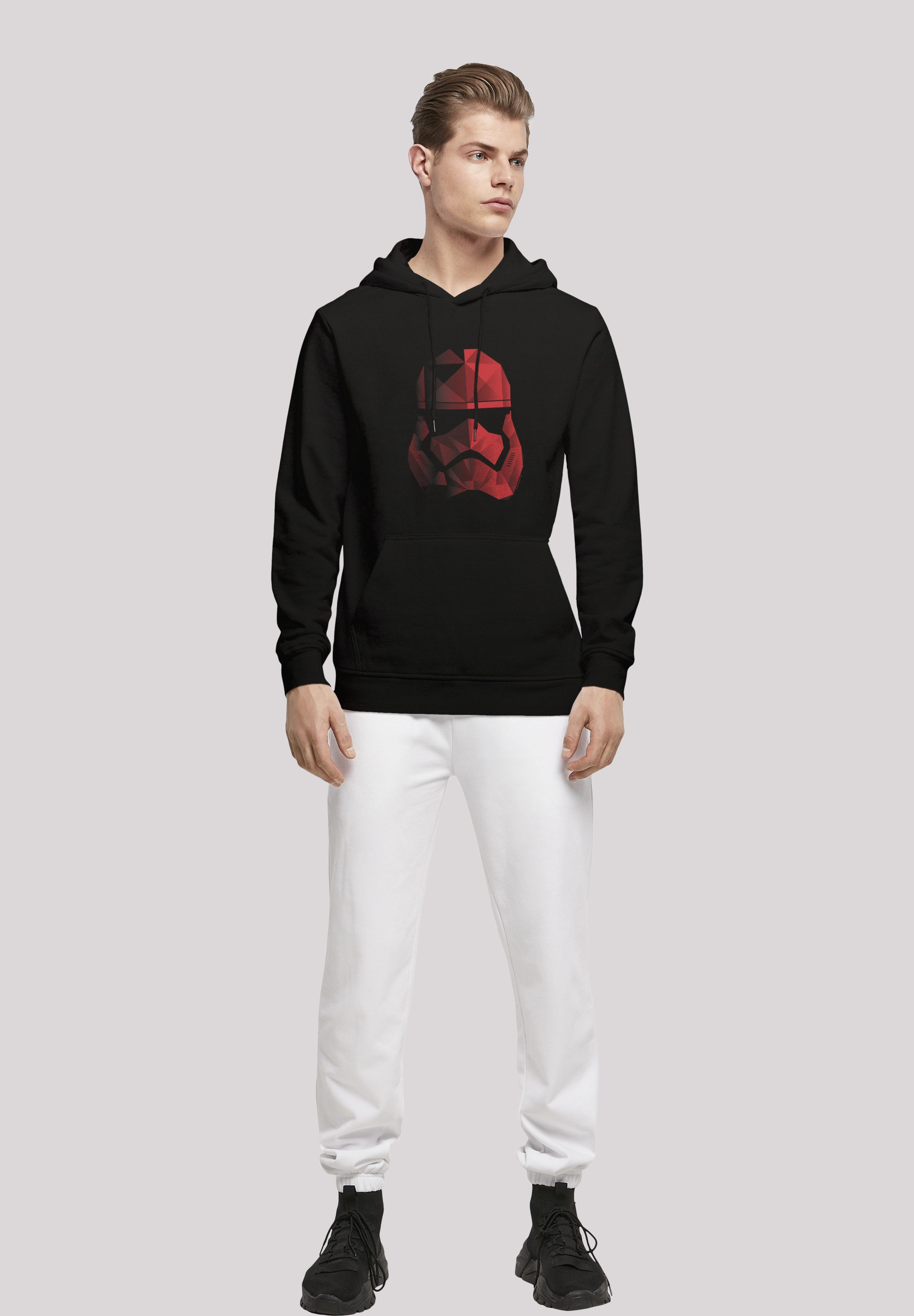 F4NT4STIC Rundhalspullover »F4NT4STIC Herren«, (1 tlg.)