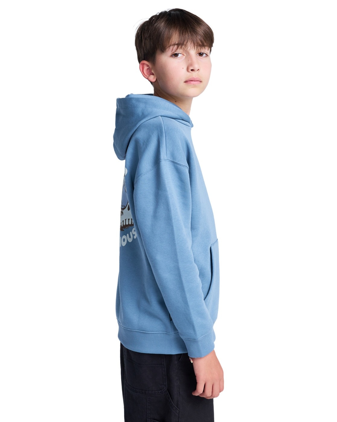 Element Kapuzensweatshirt »Curious«