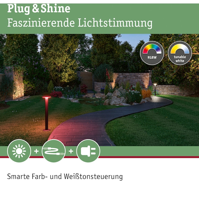 Paulmann LED Pollerleuchte »Outdoor Plug & Shine Plate RGBW IP44«, 1  flammig-flammig, ZigBee, IP44 RGBW kaufen | BAUR