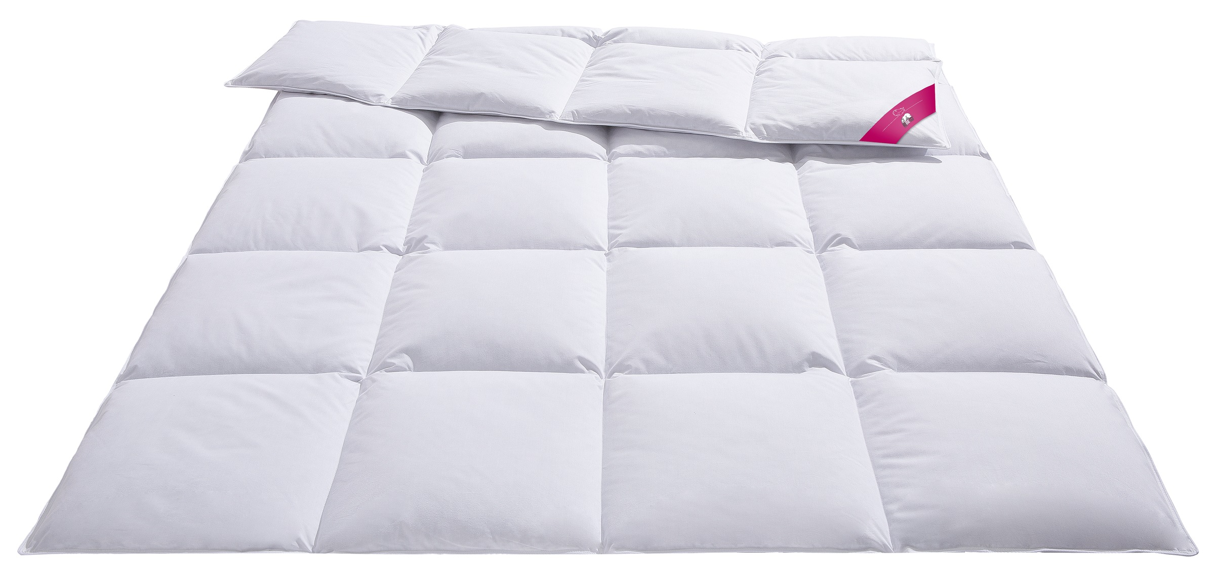 RIBECO Daunenbettdecke "Johanna" extrawarm Füllung 80Daunen20Federn Bezug B günstig online kaufen