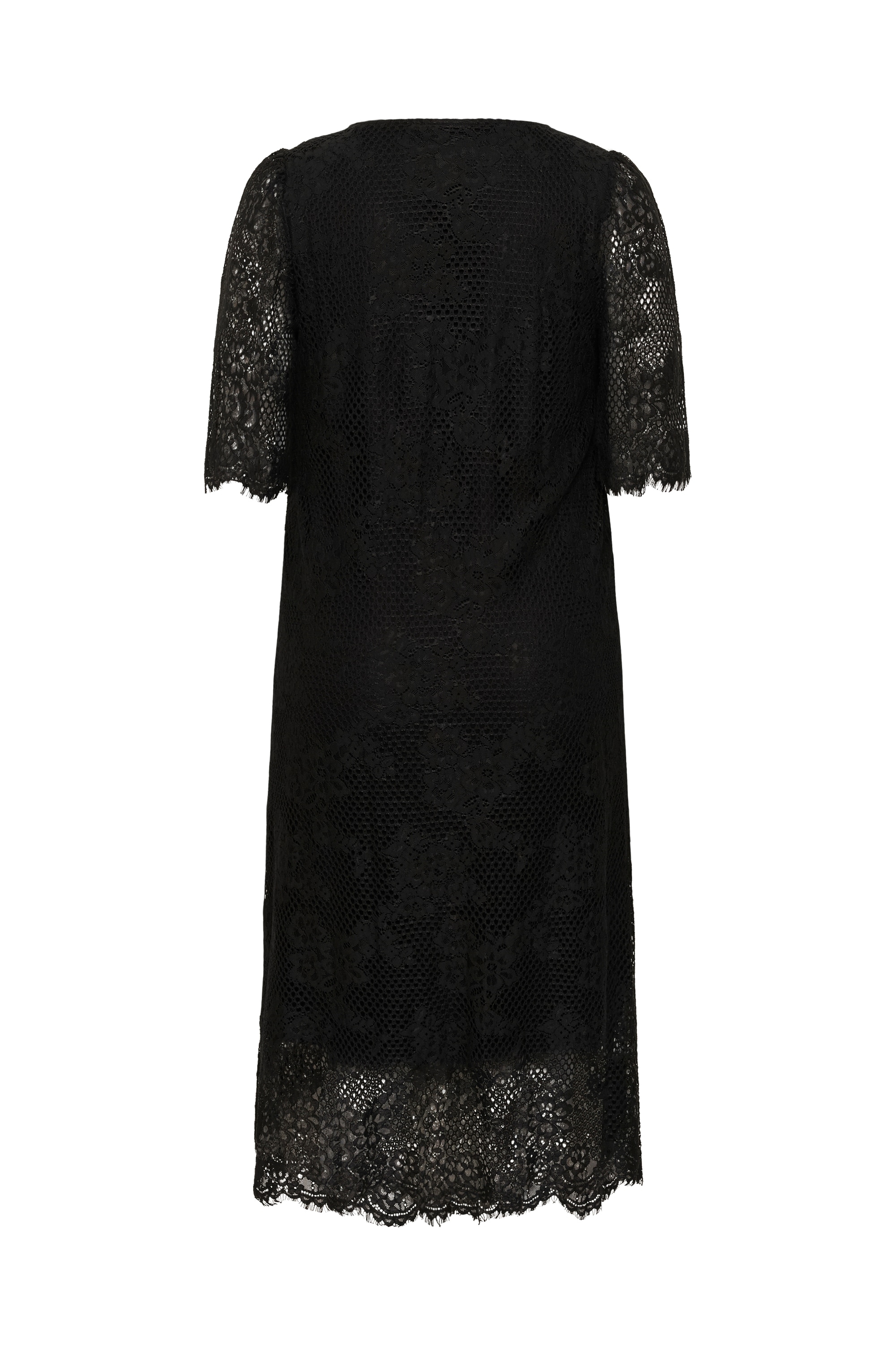 KAFFE Curve Midikleid »KAFFE Curve Kleid KCcarley«