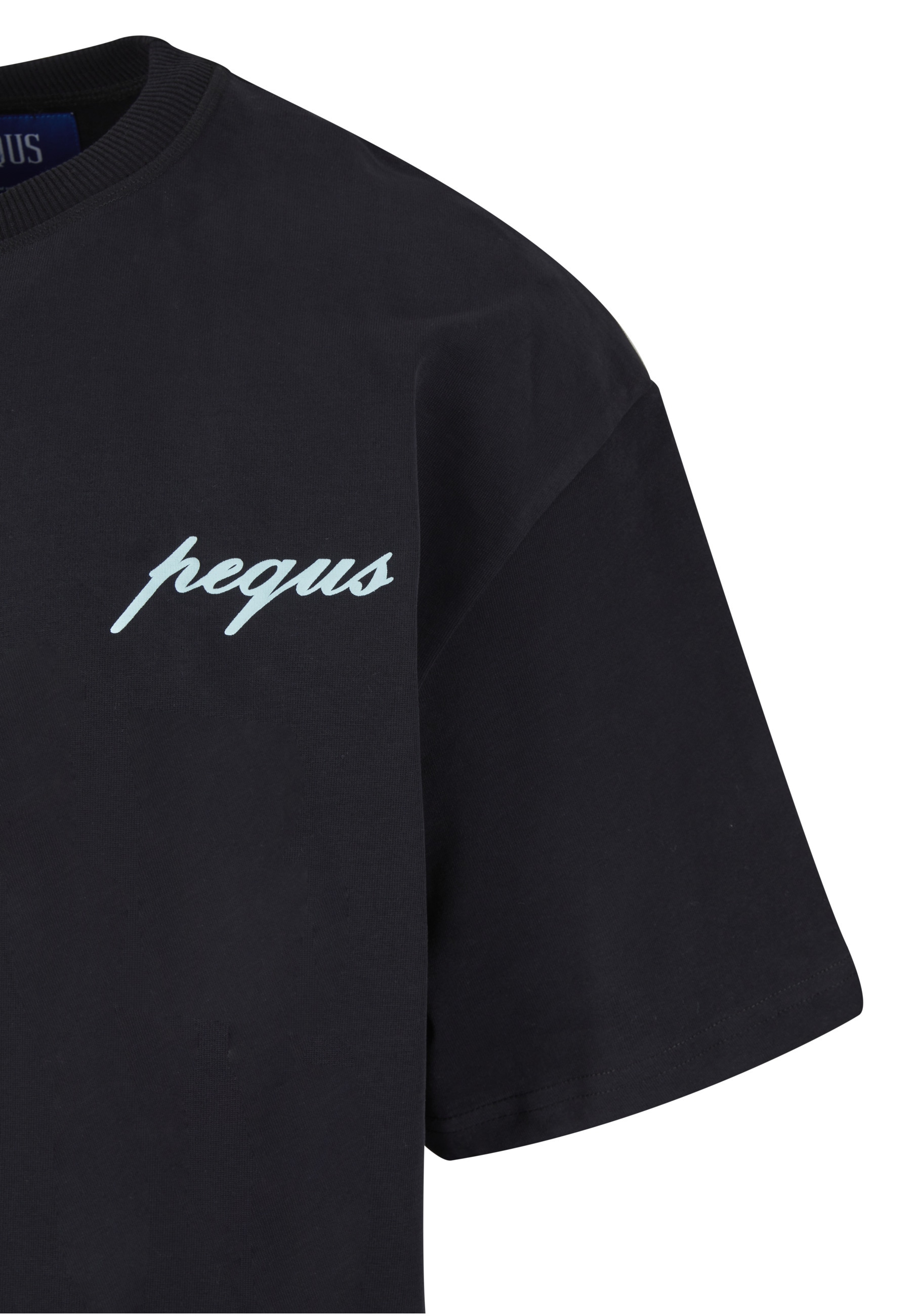 PEQUS T-Shirt »PEQUS PEQUS A Paradise Beach Club Back Logo T-Shirt« 1 Stk.