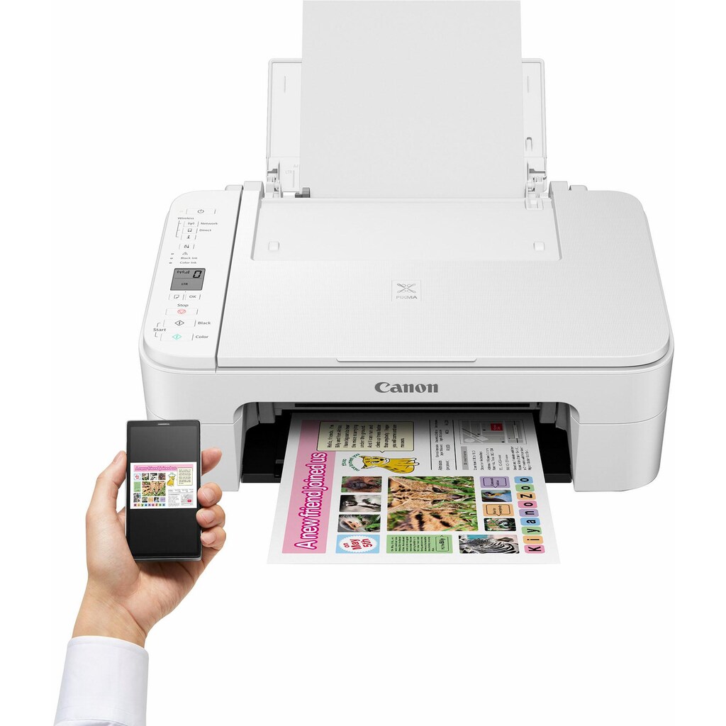 Canon Multifunktionsdrucker »PIXMA TS3150/TS3151«