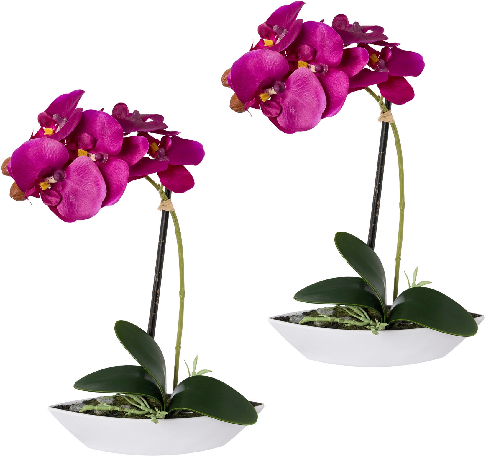 Kunstorchidee »Phalaenopsis«, 2er Set, in Kunststoffschale