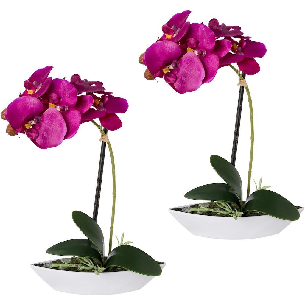 Creativ green Kunstorchidee »Phalaenopsis«