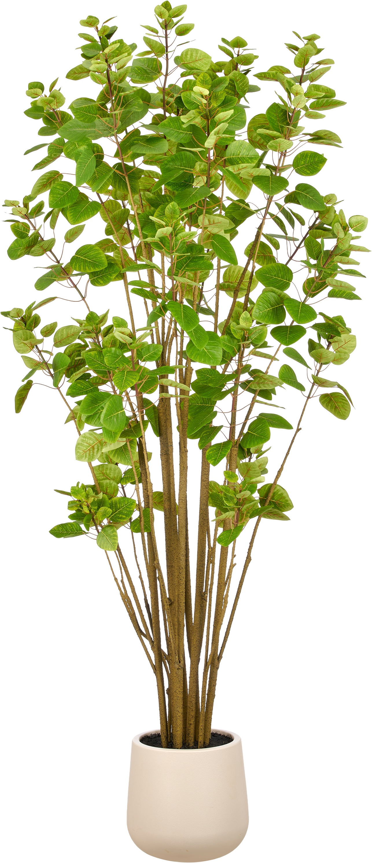 Creativ green Kunstbaum "Cotinus coggyria" in beeindruckender Größe