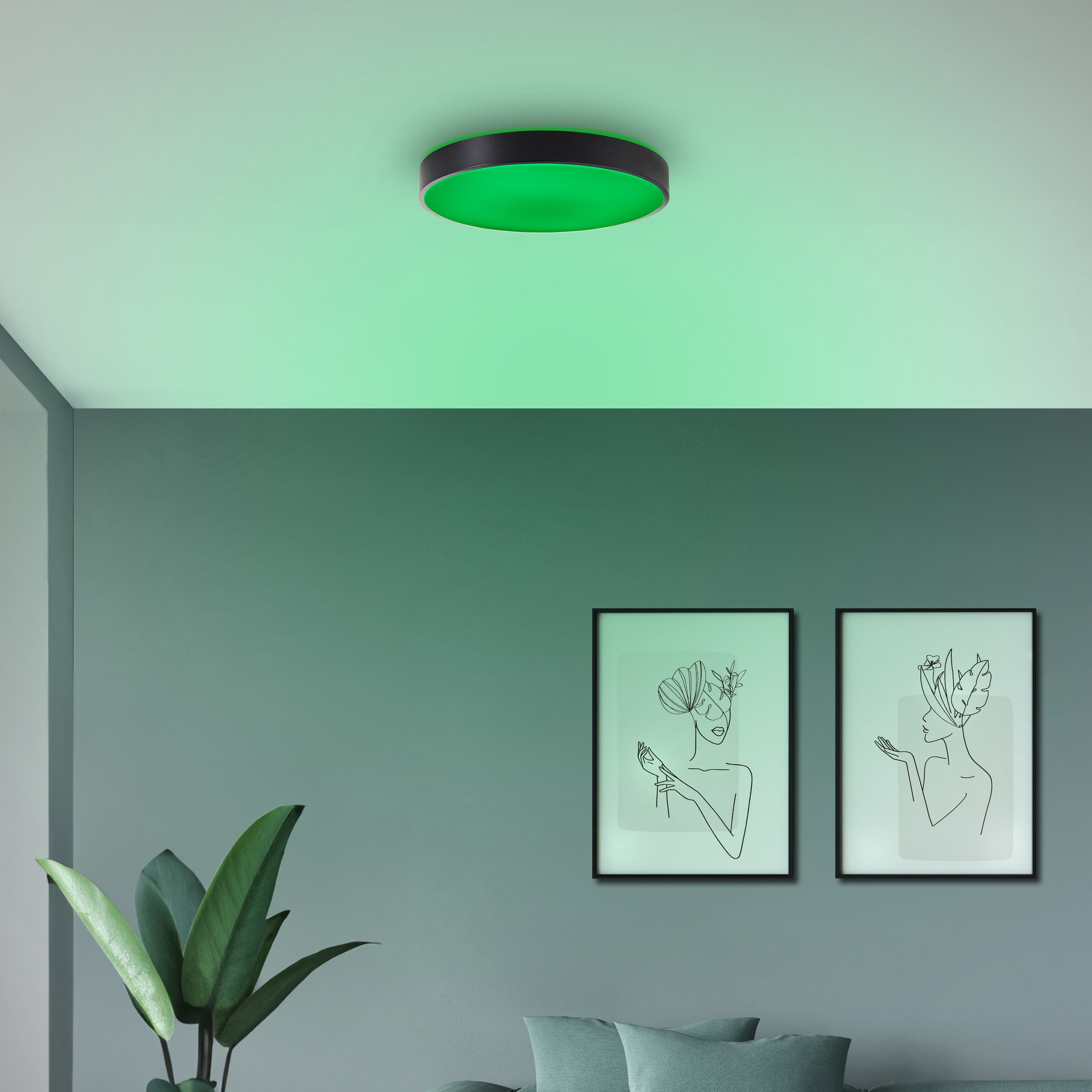 Brilliant LED Deckenleuchte »Vadin«, Smart Home Leuchte, Ø 49 cm, 3000-6500 K, 3500 lm, RGB, dimmbar