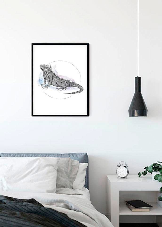 Komar Bild »Iguana Watercolor« Tiere 1 Stk. tlg. Wandbild zur Dekoration - ohne Rahmen