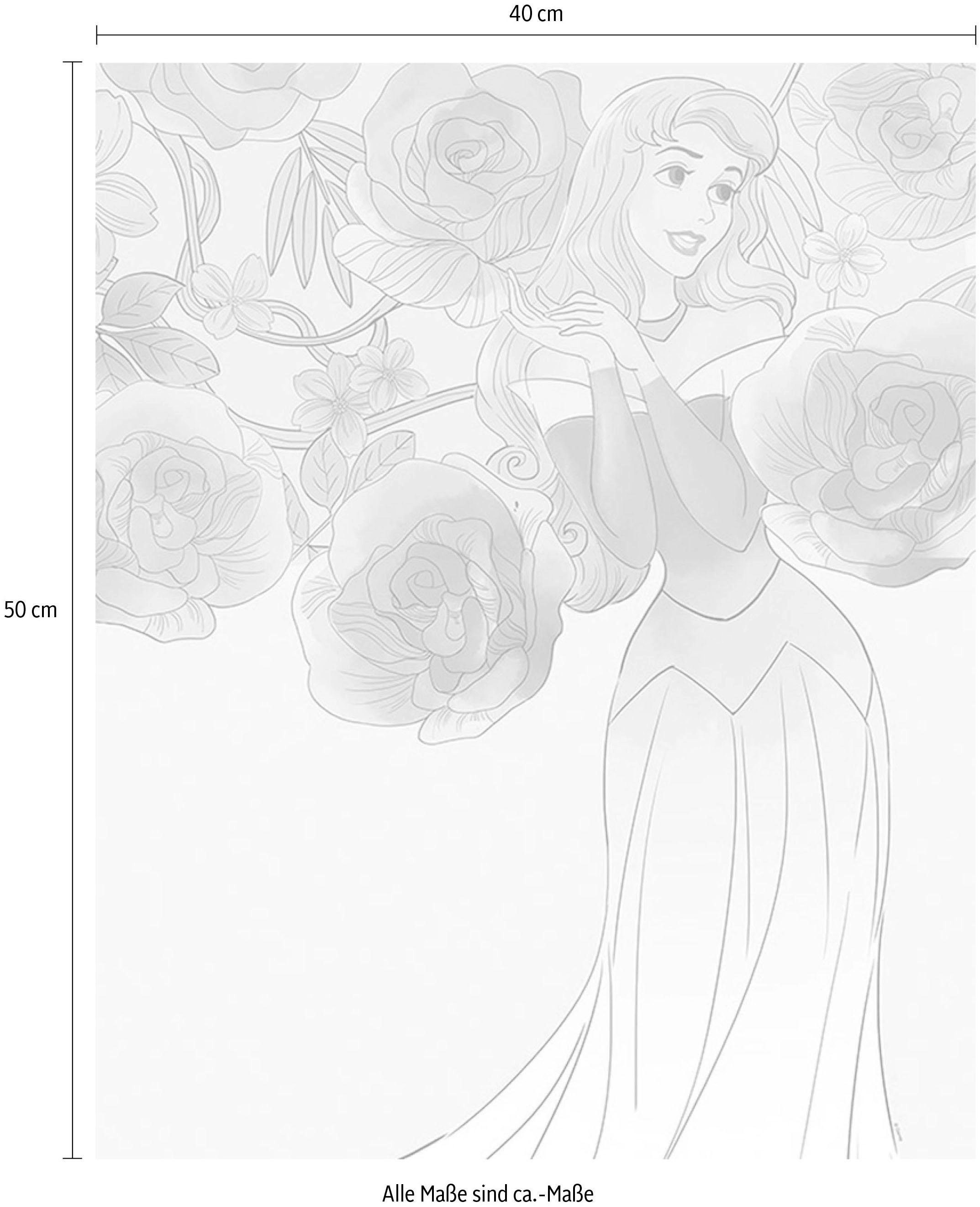 Komar Bild »Sleeping Beauty Roses«, Disney, (1 St.), Wandbild zur Dekoration im Kinderzimmer - ohne Rahmen