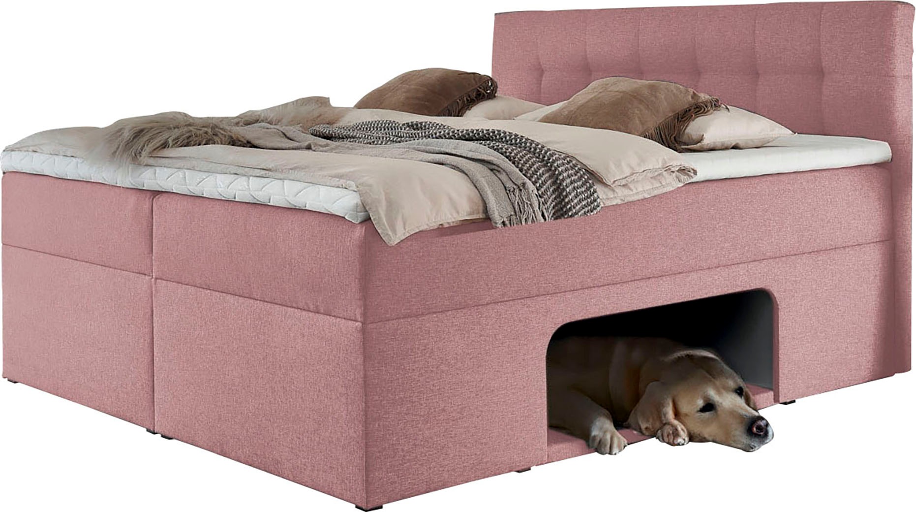 Places of Style Boxbett »Carolin«, mit Nische inkl. gepolsterter Unterlage für Haustiere