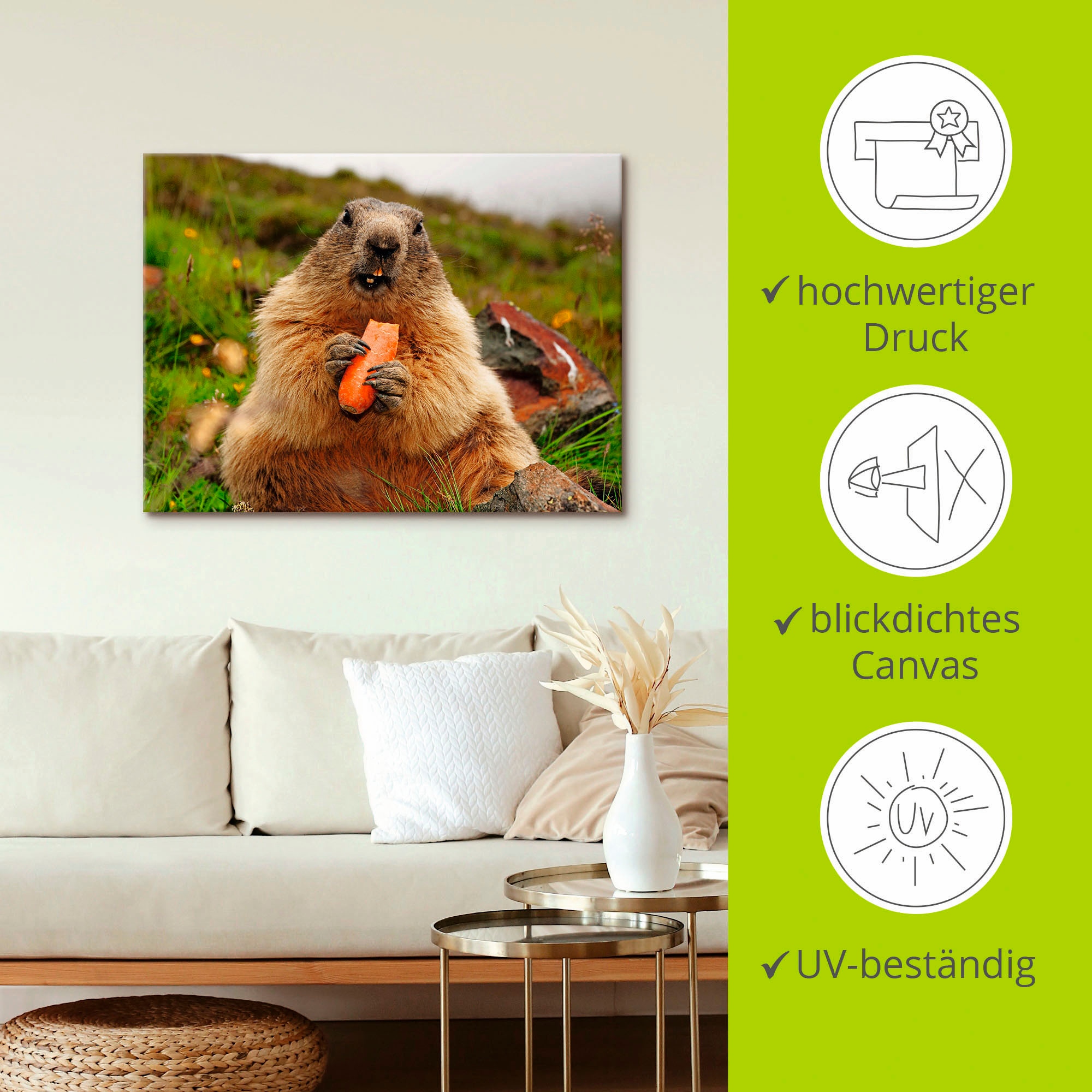 Artland Wandbild »Murmeltier«, Wildtiere, (1 St.), als Leinwandbild, Poster in verschied. Größen