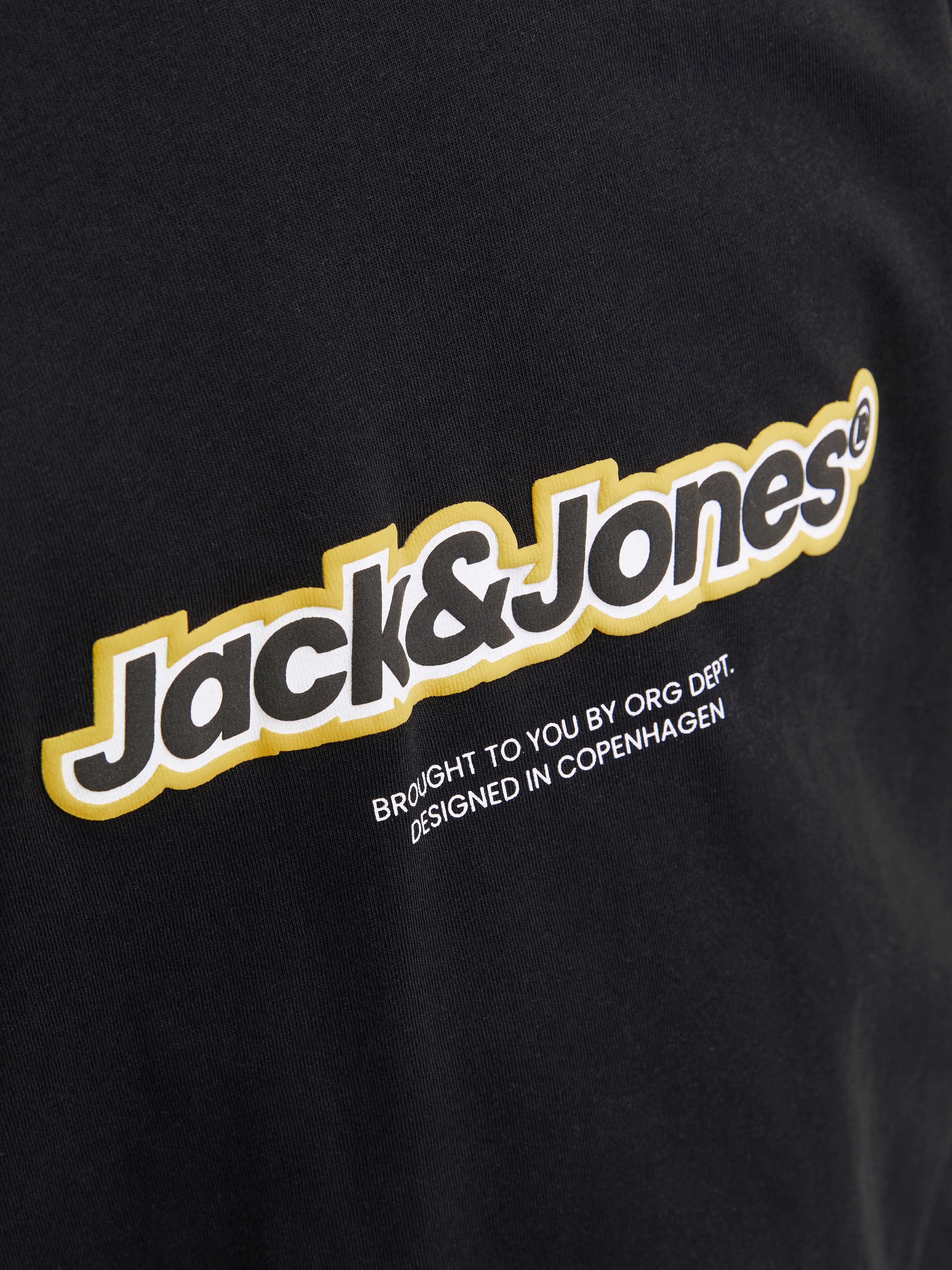 Jack & Jones Junior Langarmshirt »JORVESTERBRO NEWTON BRNDG TEE LS BF JNR«