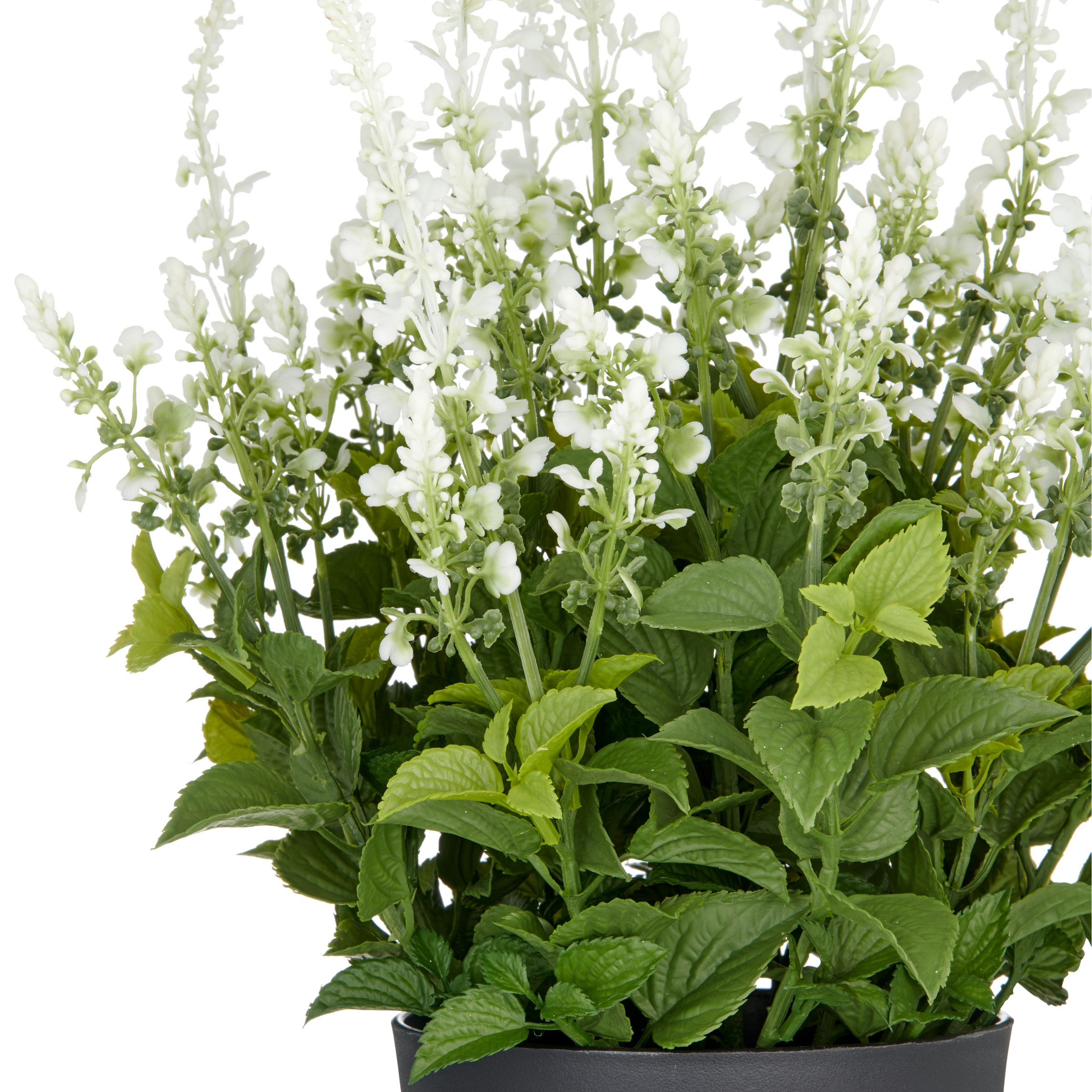 Creativ green Kunstpflanze "Salvia superba", in UV-beständiger Ausführung günstig online kaufen