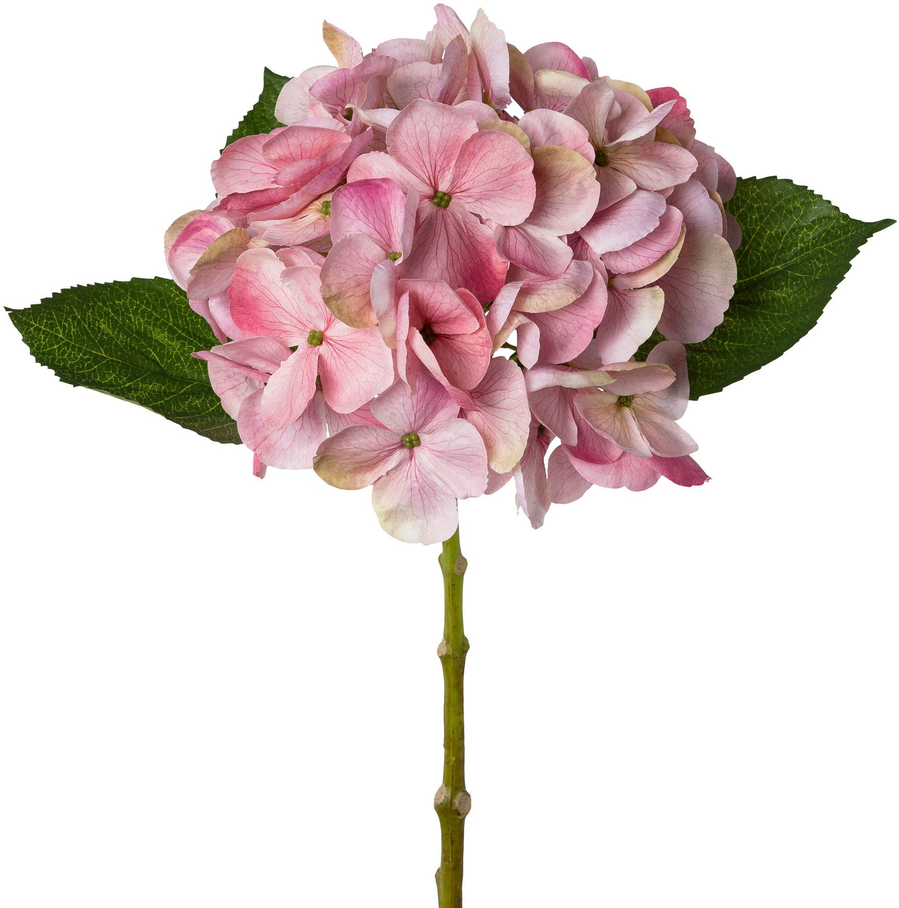 Creativ green Kunstblume "Hortensie" günstig online kaufen