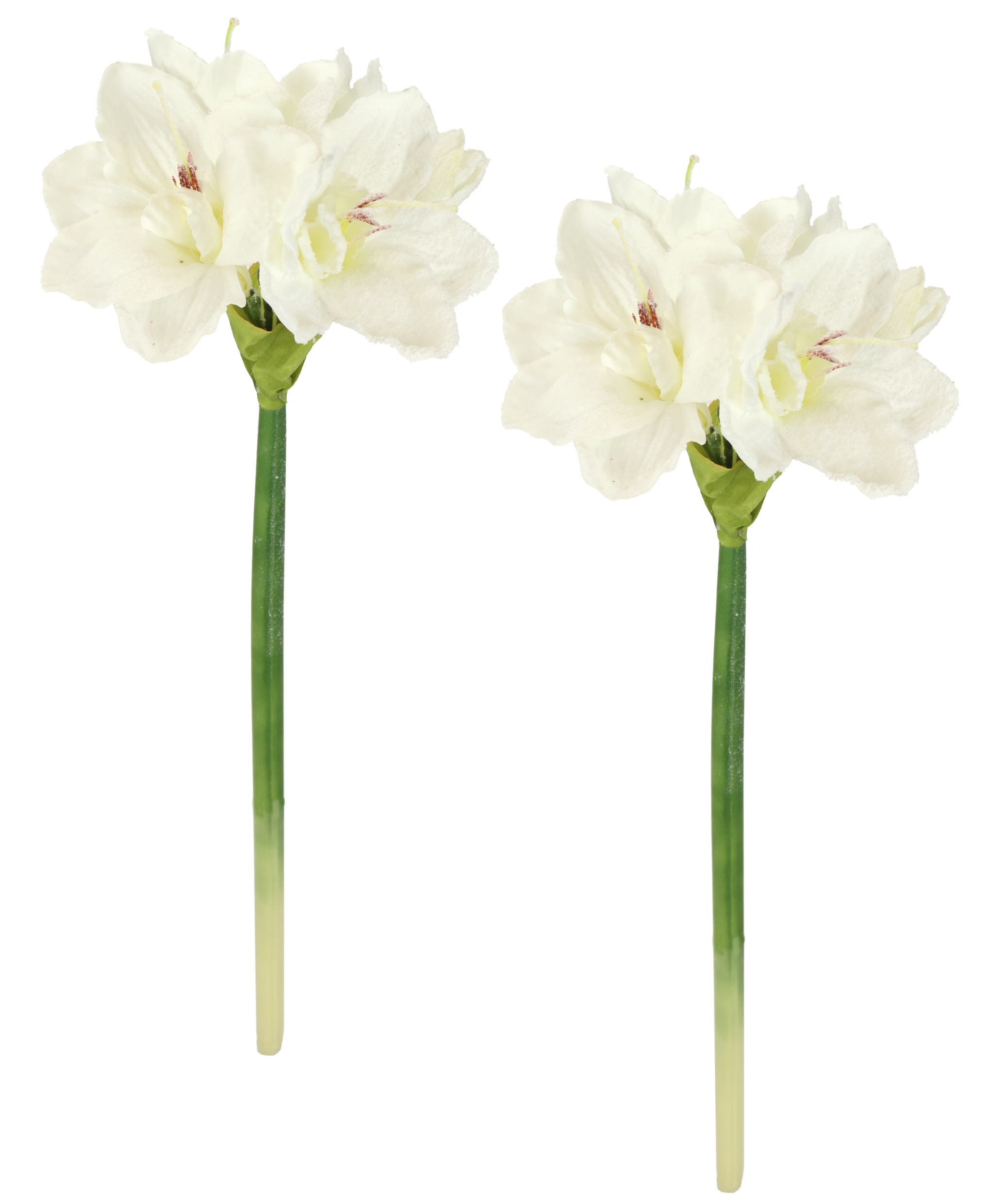 I.GE.A. Kunstblume »Amaryllis mit Kunstschnee«, 2er Set Zweige Winterblume Dekozweig Weihnachtsdeko Winterdeko