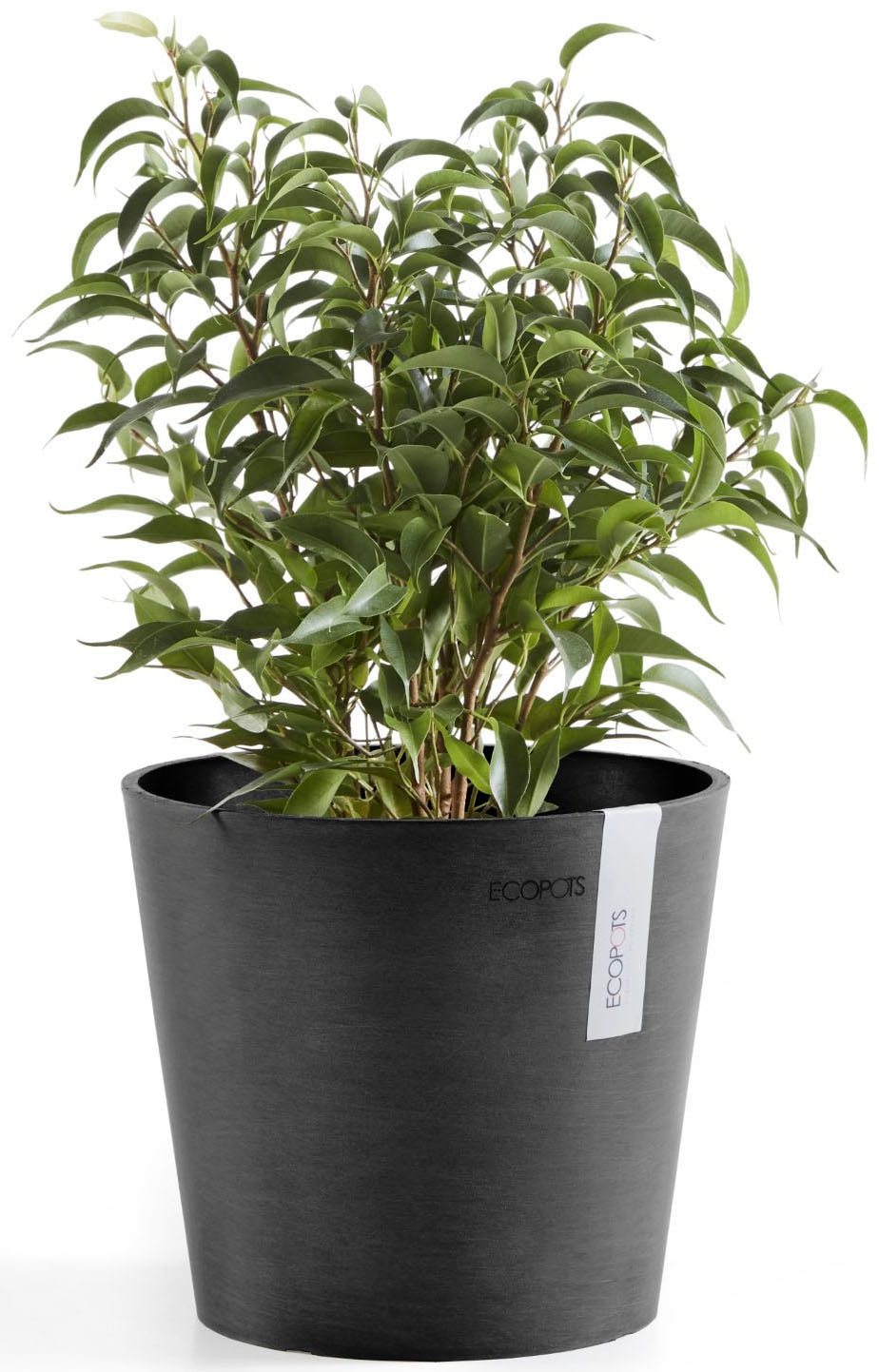 ECOPOTS Blumentopf »AMSTERDAM Mini Dark Grey« BxTxH: 17x17x14,9 cm