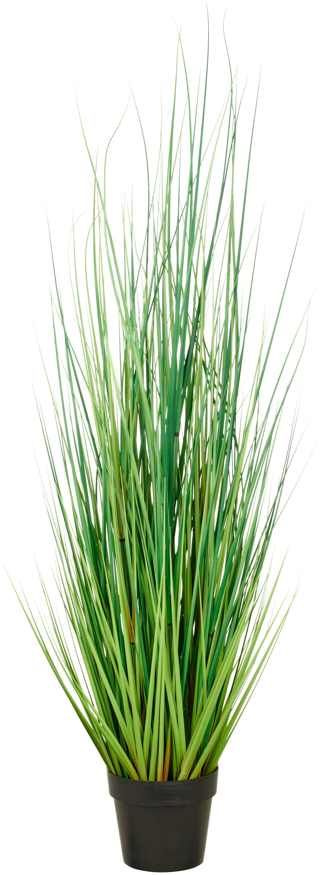 Creativ green Kunstgras "Grasbusch Miscanthus", mit naturgetreuen Grashalme günstig online kaufen