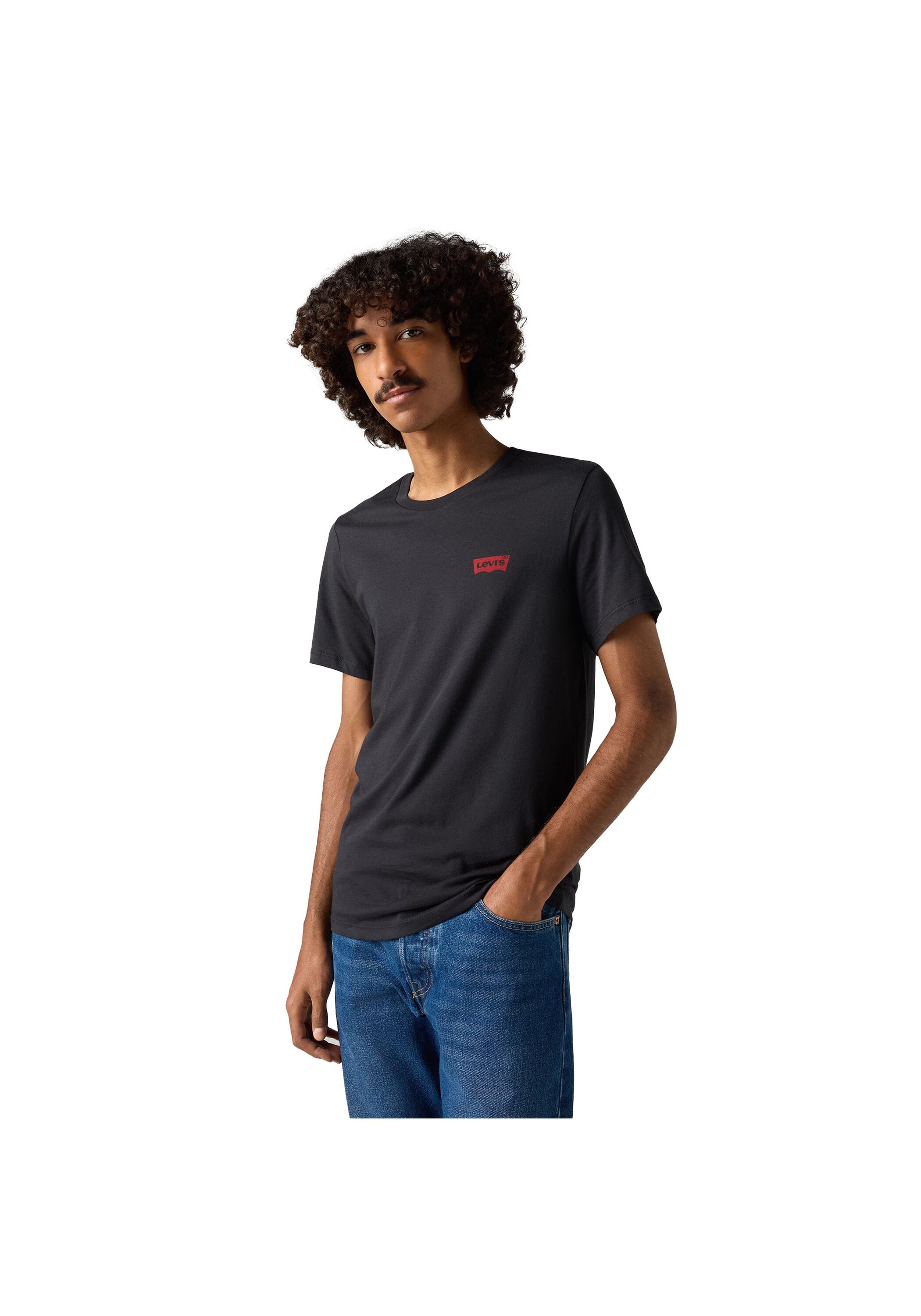Levi's® T-Shirt »T-Shirt The Graphic Tee 2 Pack 2er Pack«