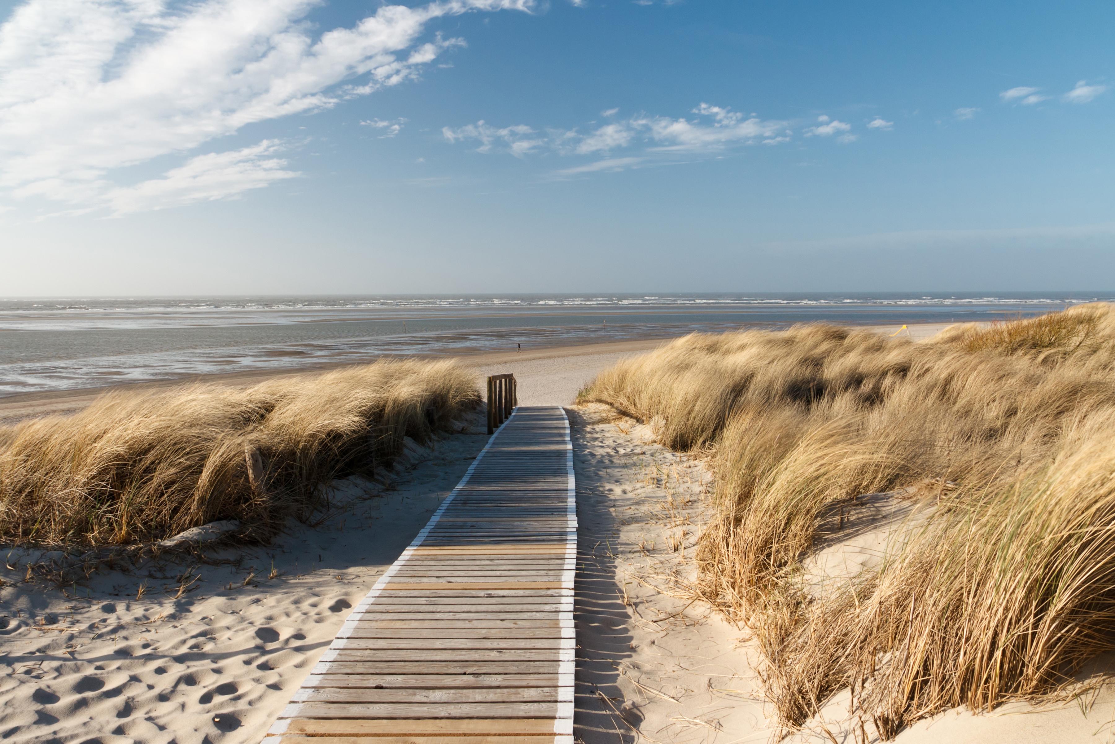 Papermoon Fototapete "Dunes in Langeoog" glatt