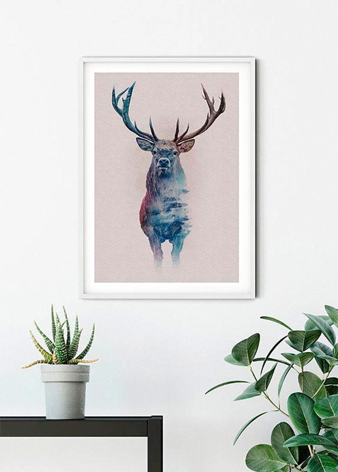 Komar Poster »Animals Forest Schlafzimmer, Tiere, Wohnzimmer (1 St.), Kinderzimmer, | BAUR Deer«